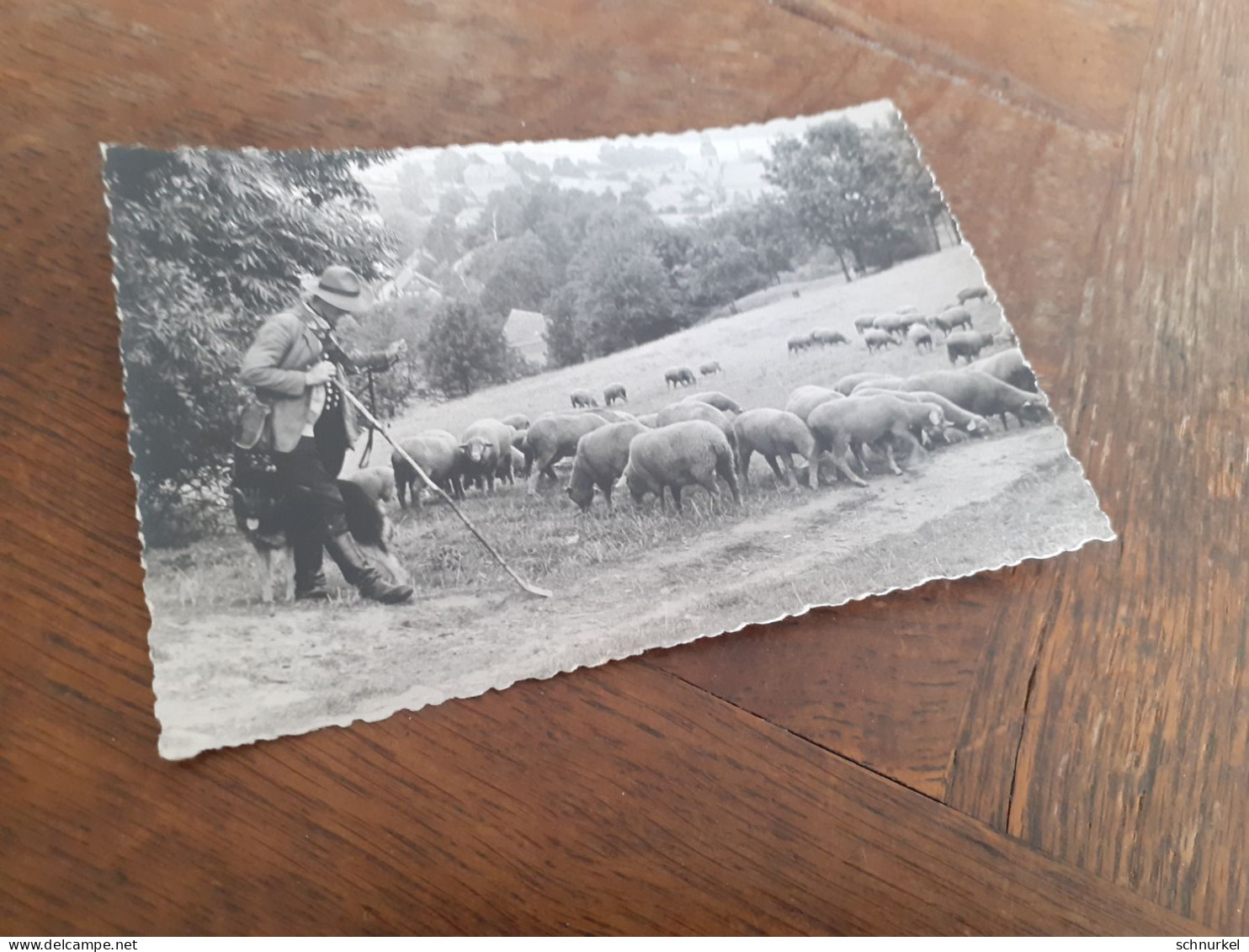 WALLERSDORF - BAYERN - SCHAFHIRTE Mit HUND Und SEINER SCHAFHERDE - SCHAFE - Orte