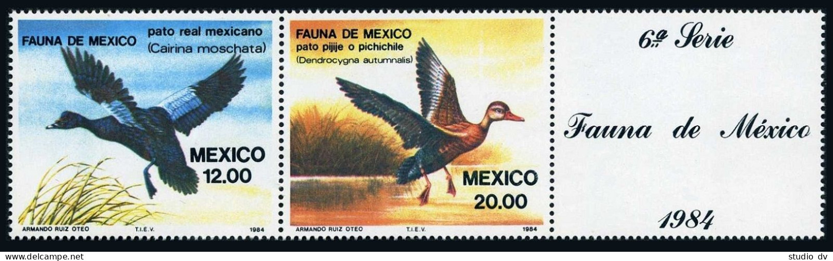Mexico 1346-1347 Strip/label,MNH.Michel 1893-1894. Aquatic Birds 1984.Cairina - Mexique
