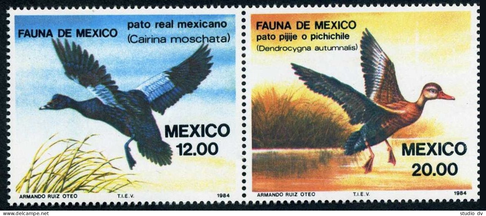 Mexico 1346-1347 Pair,MNH.Michel 1893-1894. Cairina Moschata,Dendrocygna,1984. - Mexique