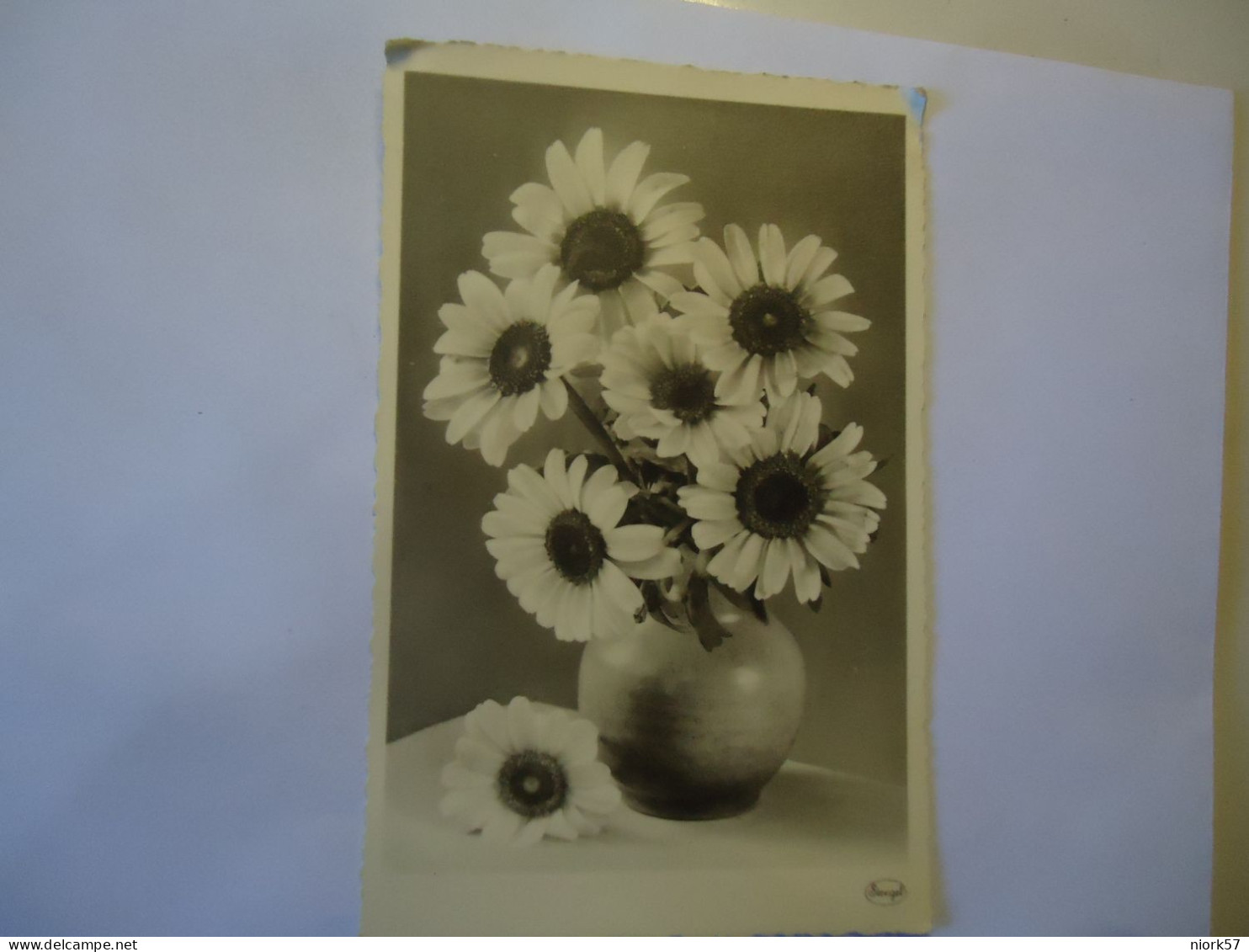 GERMANY POSTCARDS DRESDEN FLOWERS - Other & Unclassified