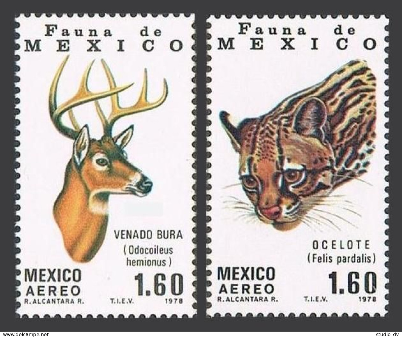 Mexico C581-C582 Blocks/4,MNH.Mi 1605-1606. Protected 1978.Mule Deer.Ocelot. - Mexique