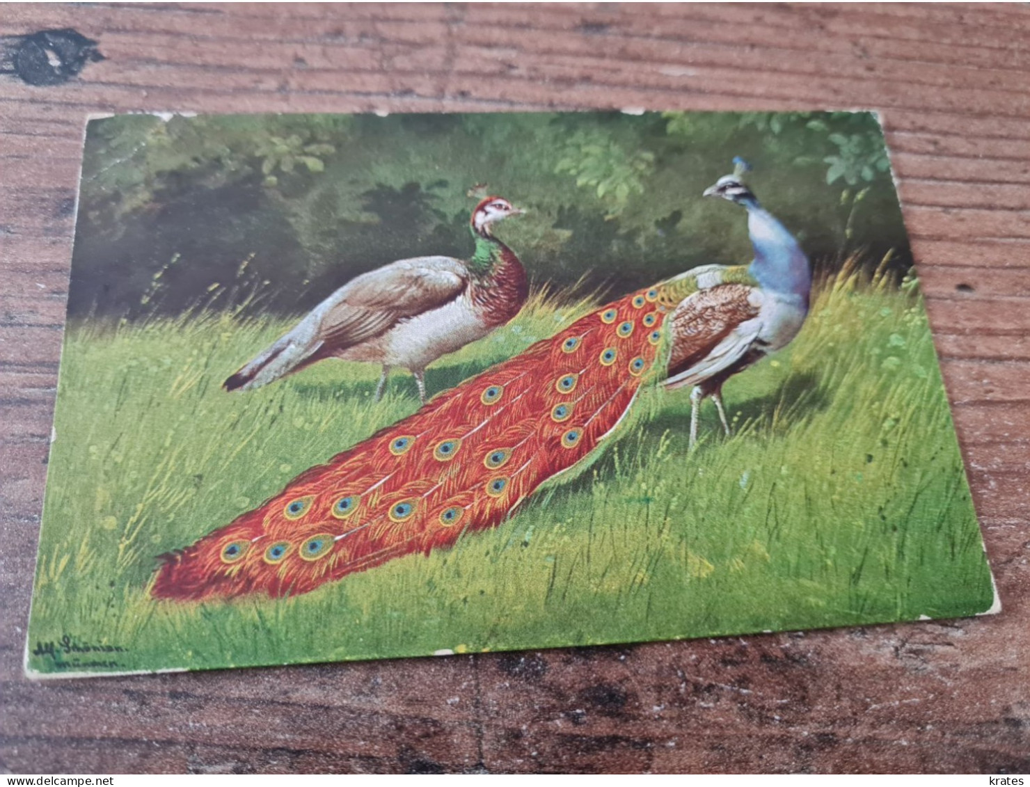 Postcard - Birds   (32972) - Vögel