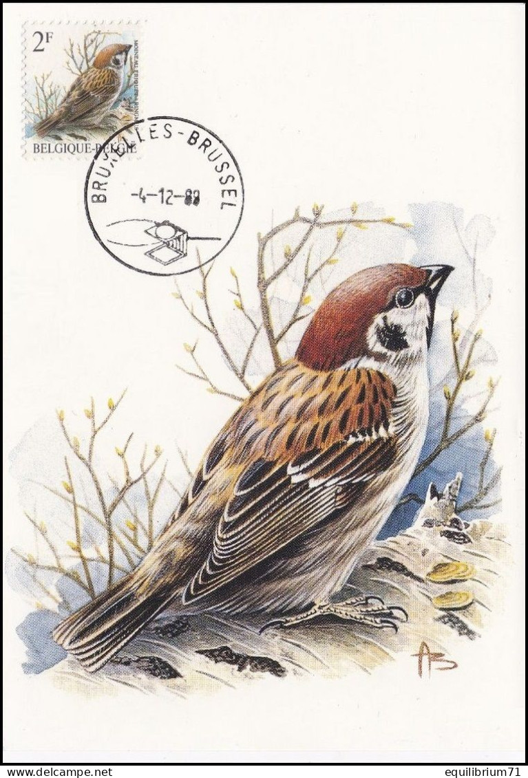 CM/MK - 2347° - BUZIN - Moineau Friquet/Ringmus/Feldsperling - BXL-BSL - 04-12-89 - Obl Baveuse/Slordig Stempeling - RRR - 1985-.. Vogels (Buzin)