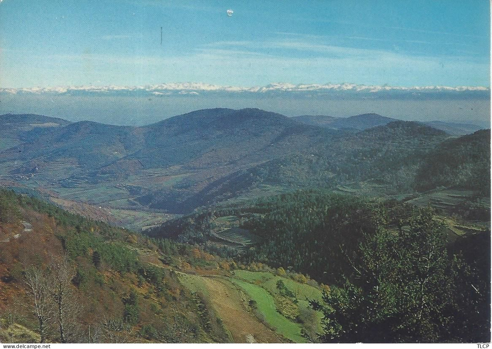 CPM  France Auvergne Rhône Alpes   07 Ardèche  La Louvesc  Perspective Sur La Chaîne Des Alpes 21-9-1972 - La Louvesc