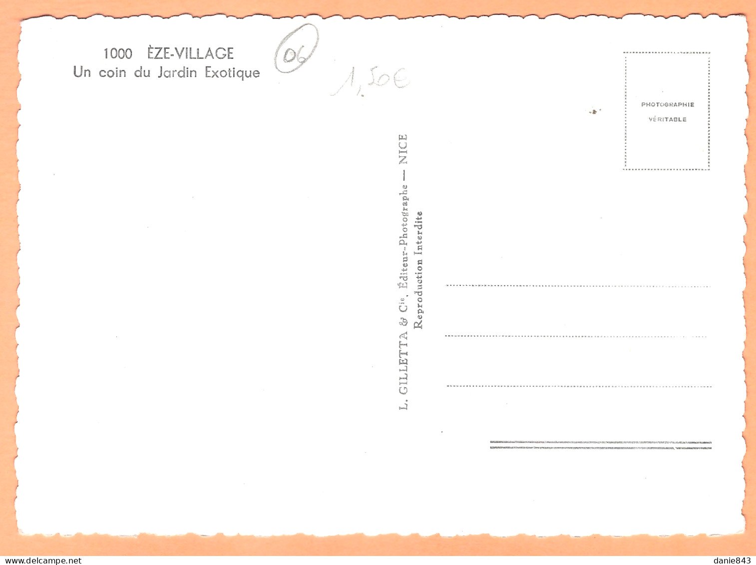 Ppgf/ CPSM Grand Format - ALPES MARITIMES - EZE-VILLAGE - UN COIN DU JARDIN ÉXOTIQUE - Eze