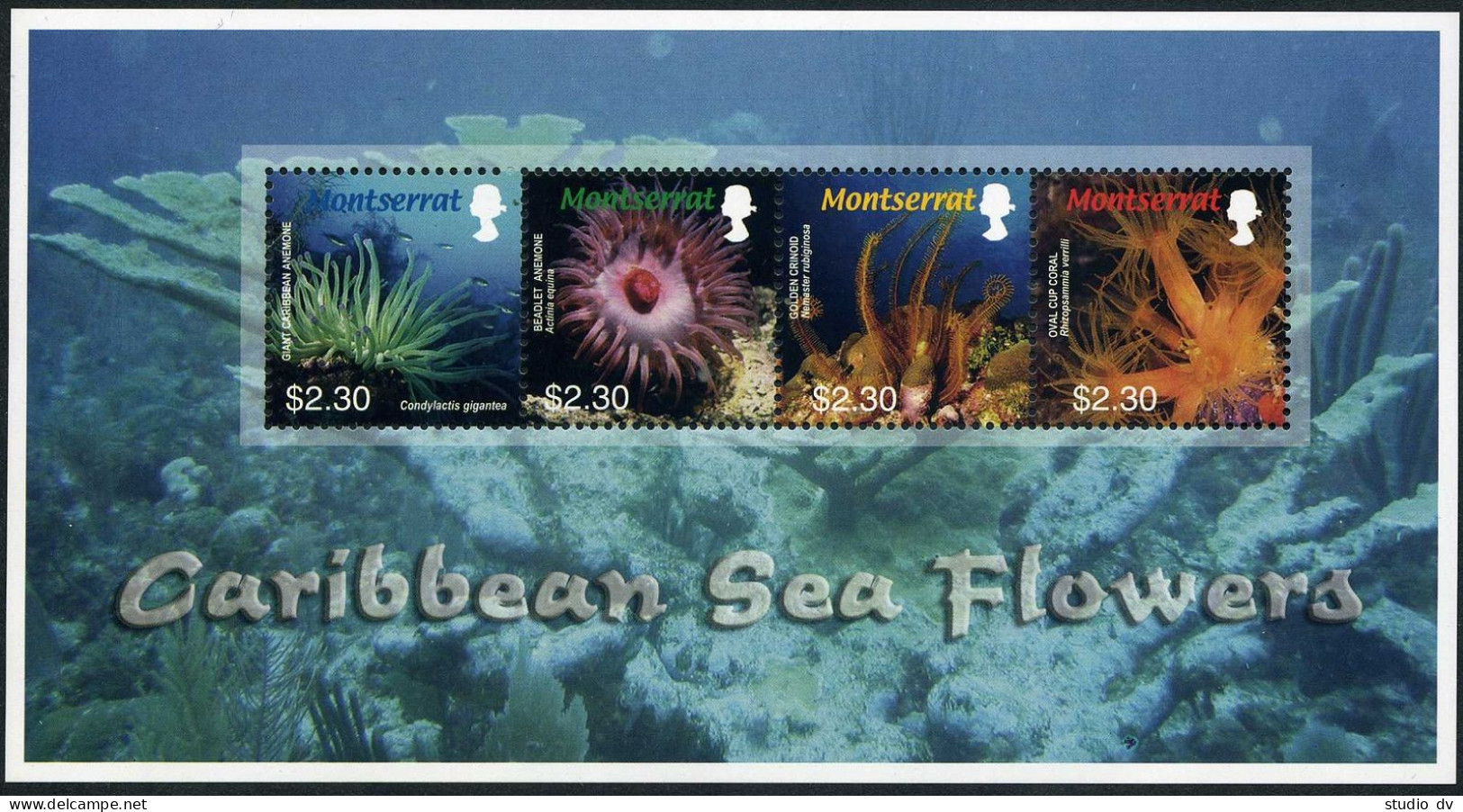 Montserrat 1150 Sheet,MNH. Marine Life 2006.Caribbean Sea Flowers,Anemone,Corals - Montserrat