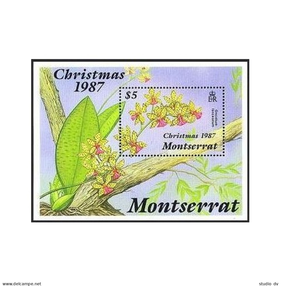 Montserrat 662,MNH.Michel 691 Bl.46. Christmas-1987.Orchid Orchidum Lanceanum. - Montserrat