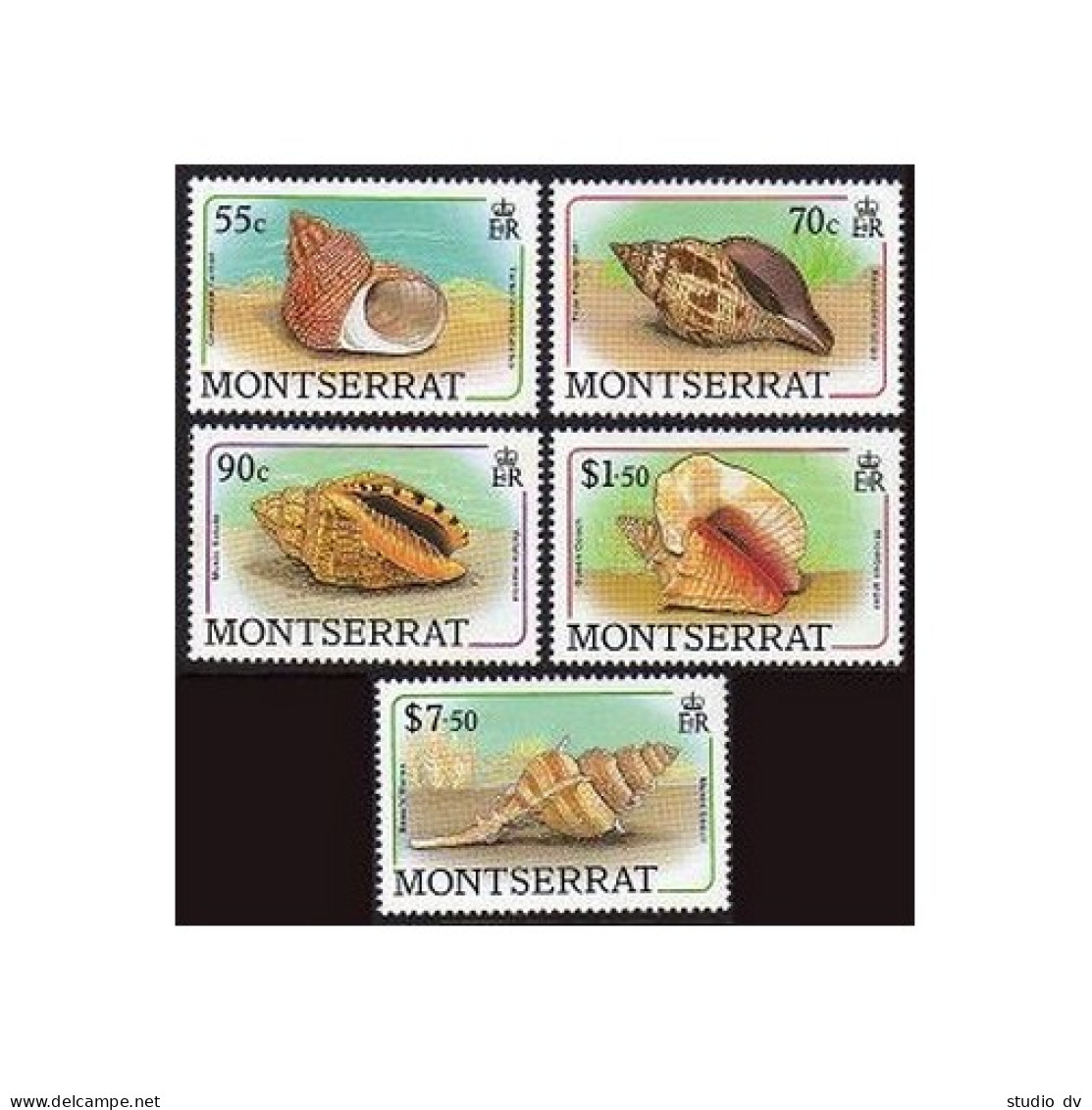 Montserrat 687-689,692,695,MNH.Michel 716-718,721,724. Sea Shells,1988.Turban, - Montserrat