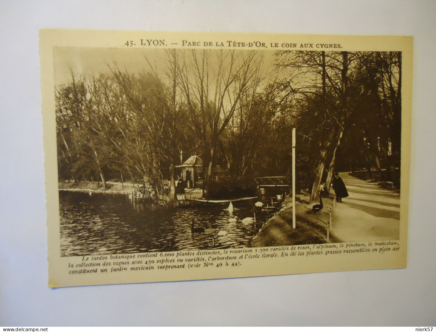 FRANCE   POSTCARDS LYON PARC DE LA TETE-D'OR - Other & Unclassified