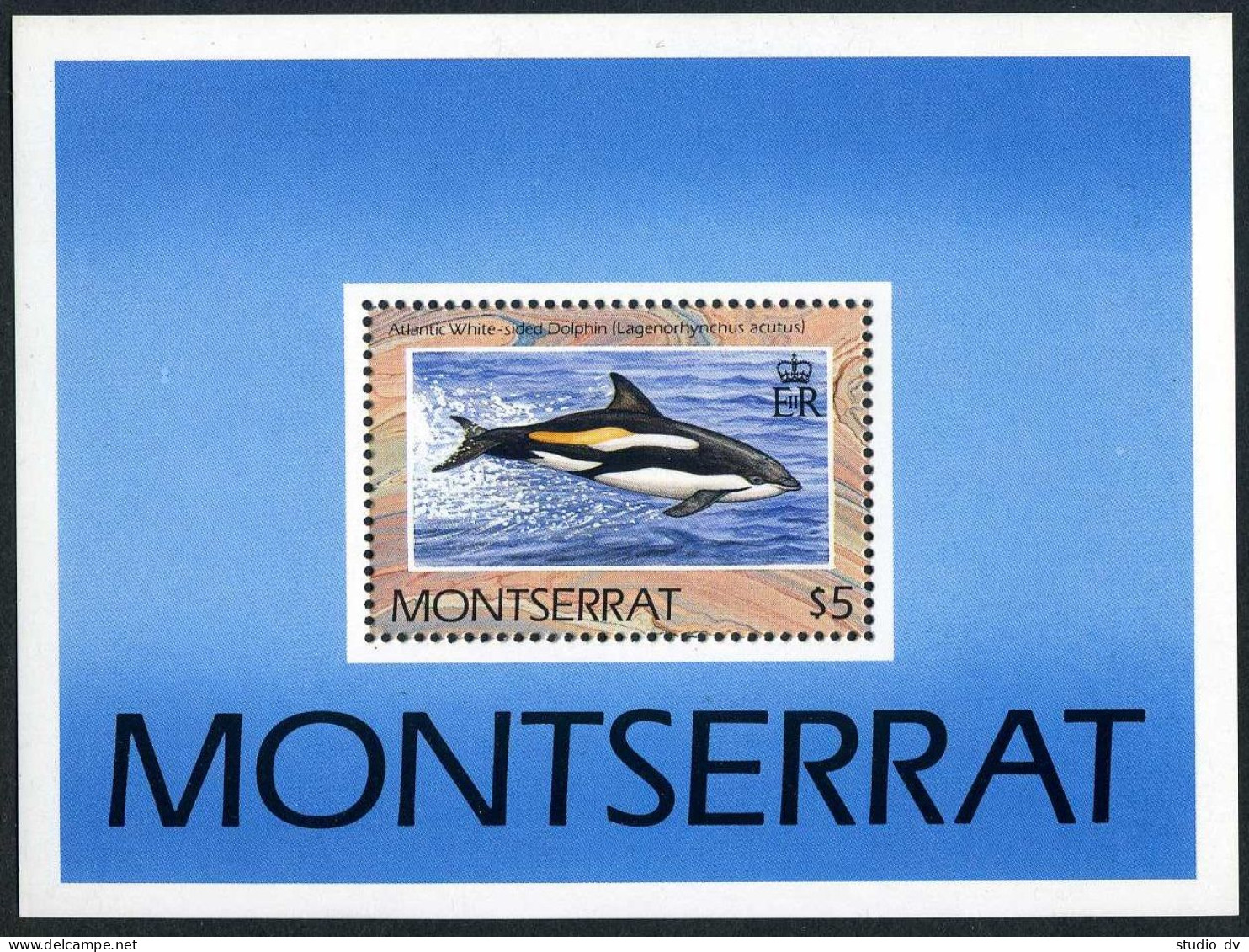 Montserrat 753-756,757,MNH.Michel 786-789,Bl.59. WWF 1990.Dolphins Of Atlantic. - Montserrat