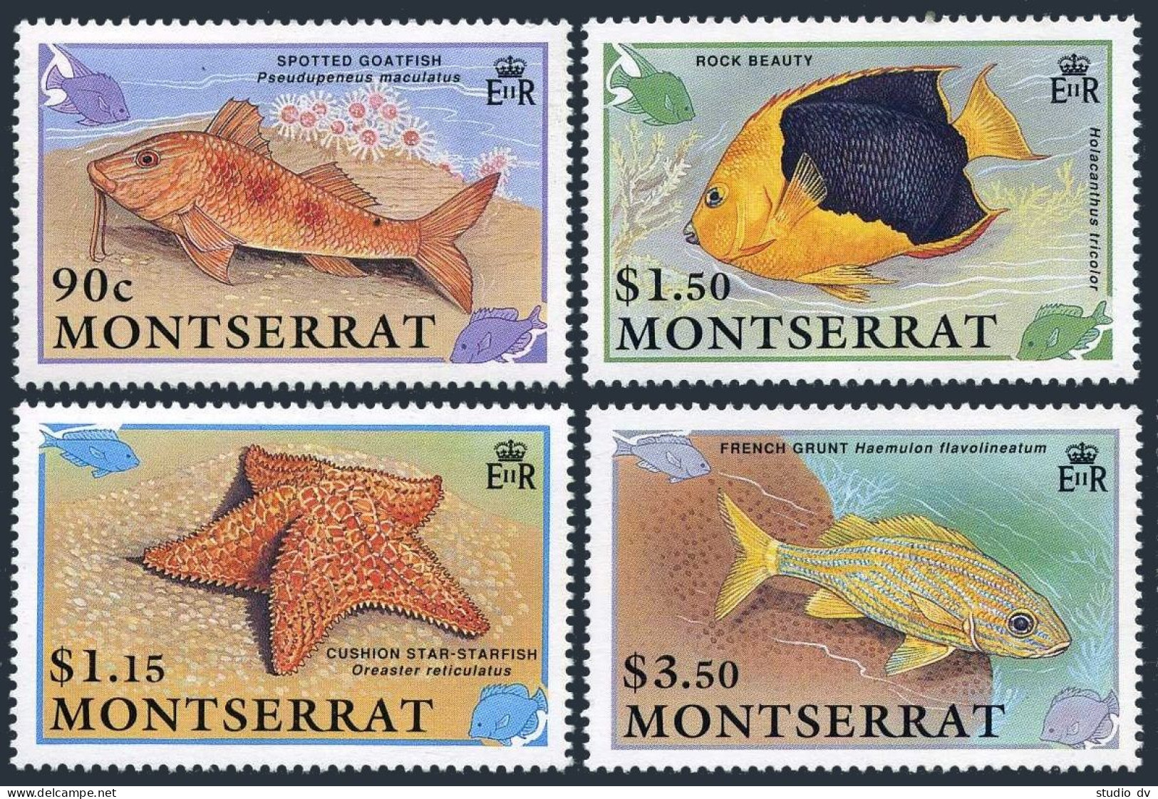 Montserrat 758-761,762,MNH.Mi 795-798,Bl.60. 1991.Goat-fish,Starfish,Trunk-fish, - Montserrat