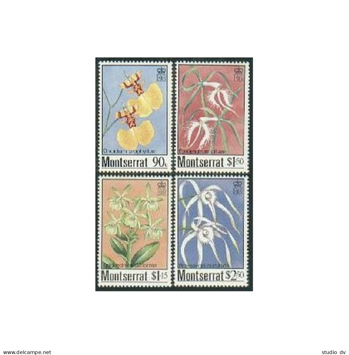 Montserrat 554-557, MNH. Michel 568-571. Indigenous Orchids, 1985. - Montserrat