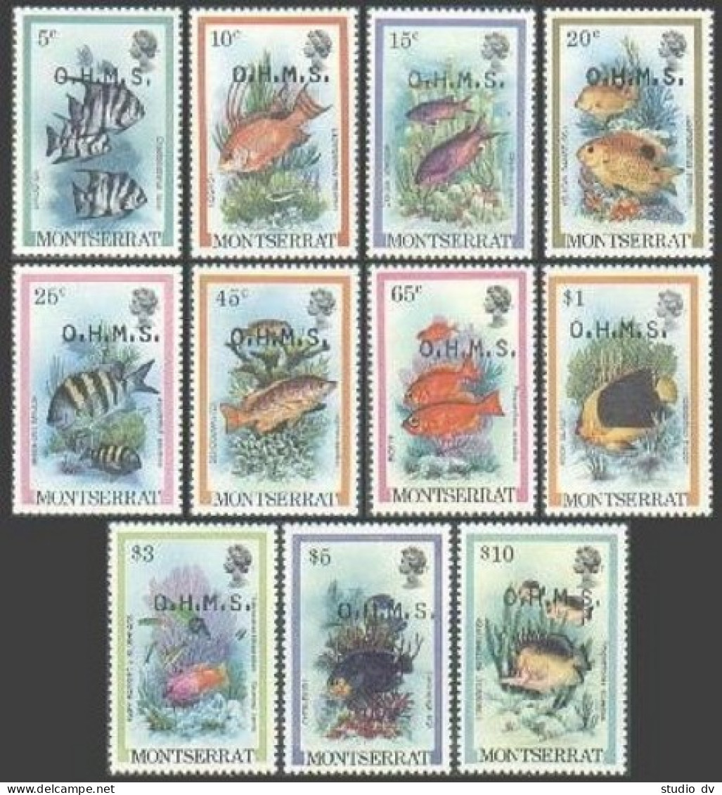 Montserrat O45-O55 O.H.M.S.1981,MNH.Michel D32-D42. 1981. Marine Life-Fish. - Montserrat