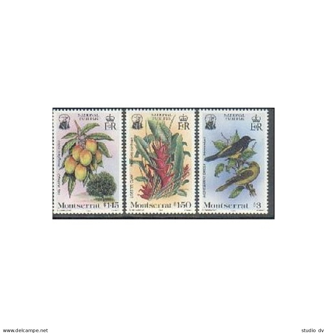 Montserrat 551-553, MNH. Michel 565-567. 1985. Mango, Lobster Claw, Oriole. - Montserrat