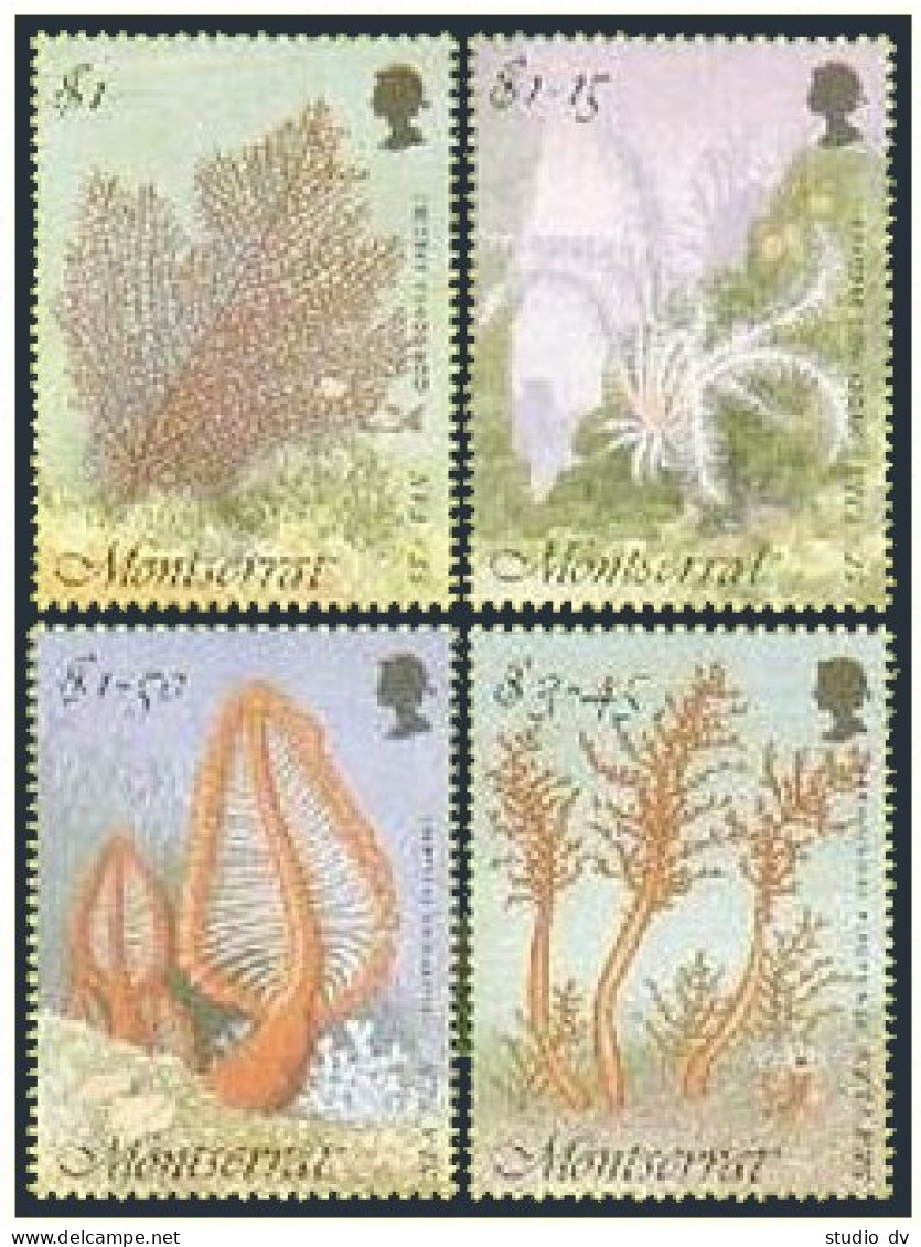 Montserrat 855-858, 859, MNH. Sea Vegetation 1995. Fan, Lily, Pen, Rose. - Montserrat