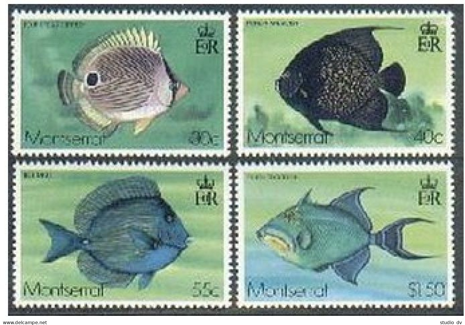 Montserrat 381-384, 384a Sheet, MNH. Michel 381-384, Bl.15. Fish 1978. - Montserrat