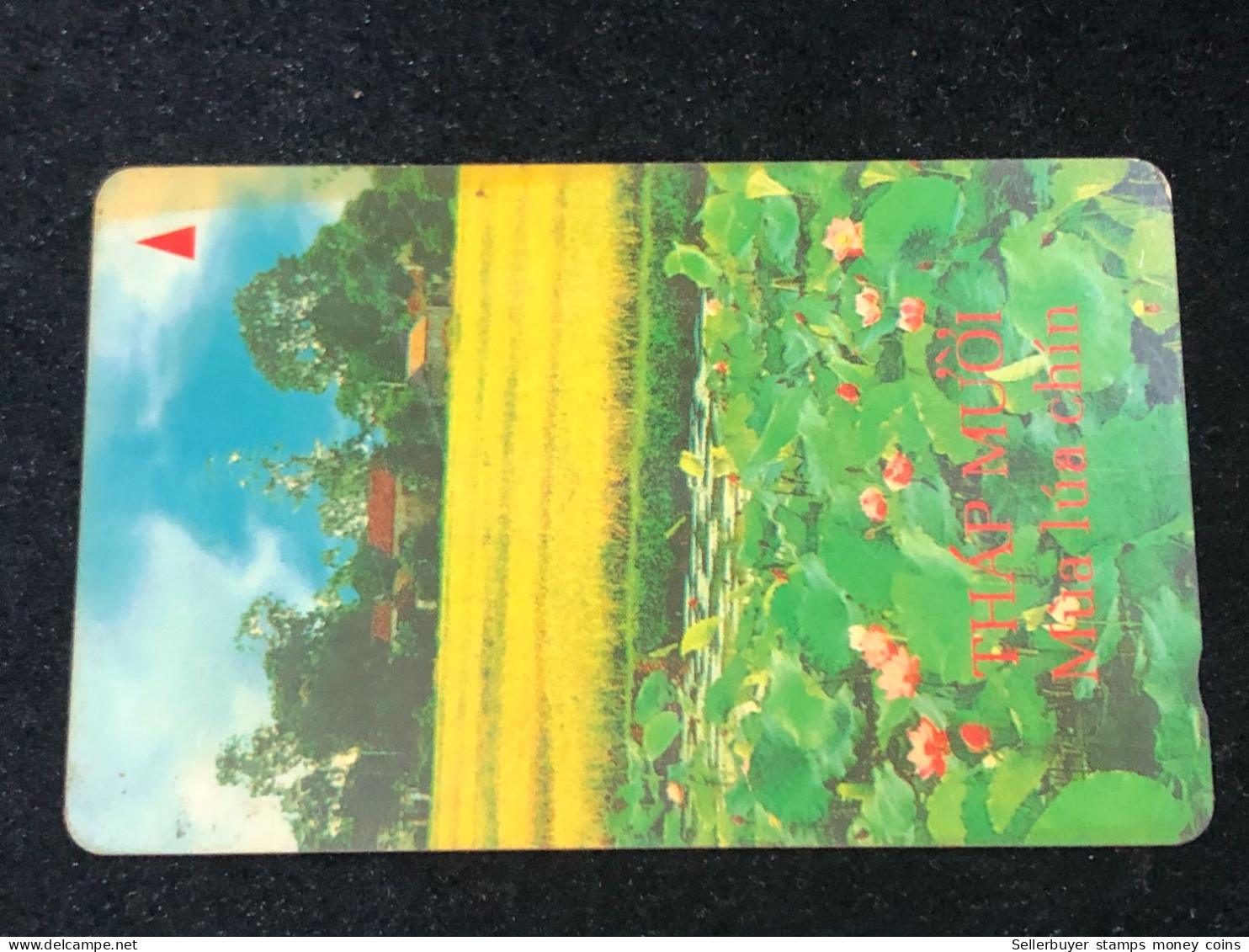 Card Phonekad Vietnam(THE DUSK 60 000dong-1996)-1pcs - Viêt-Nam