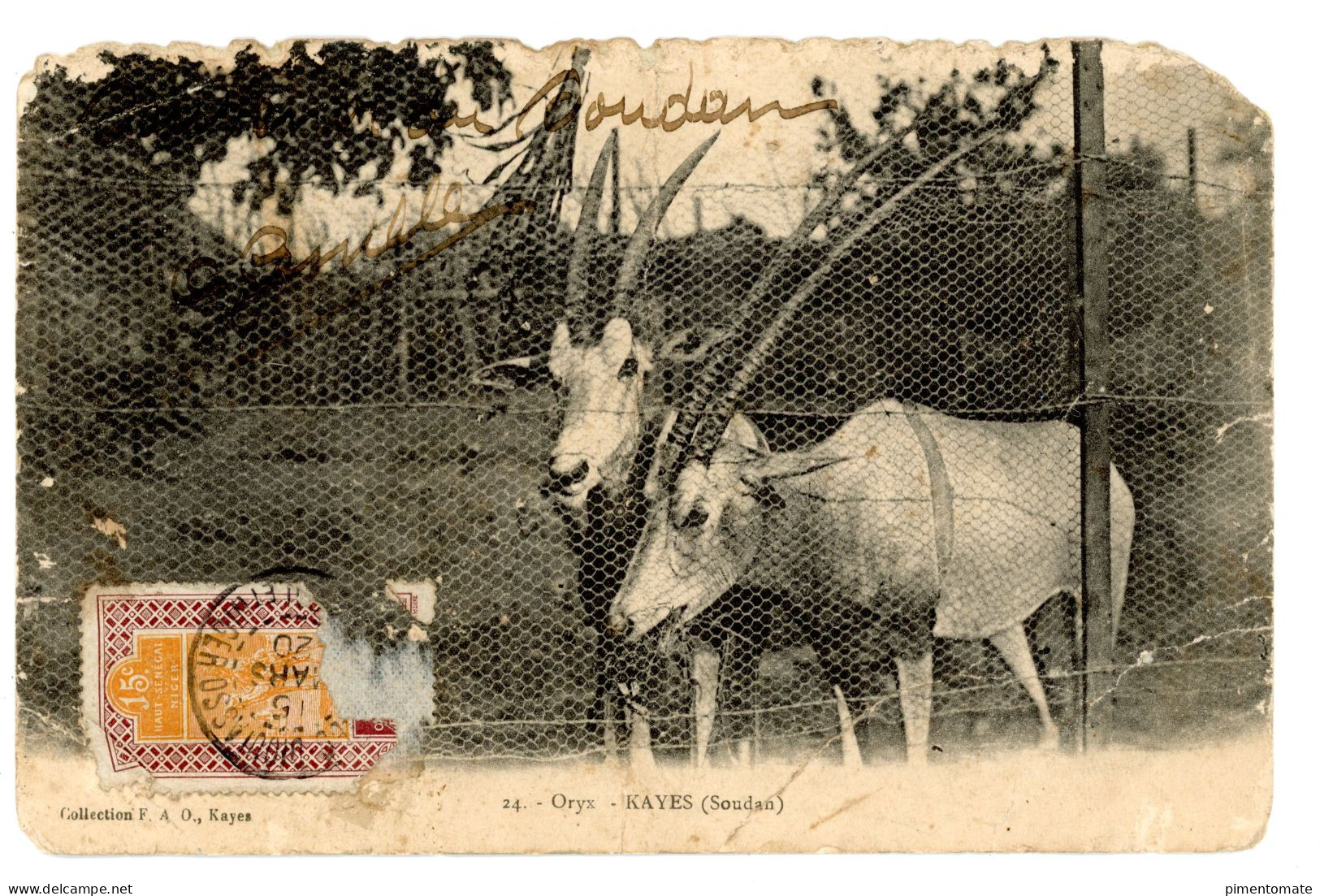 AFRIQUE OCCIDENTALE SOUDAN FRANCAIS KAYES ORYX 1920 - Mali