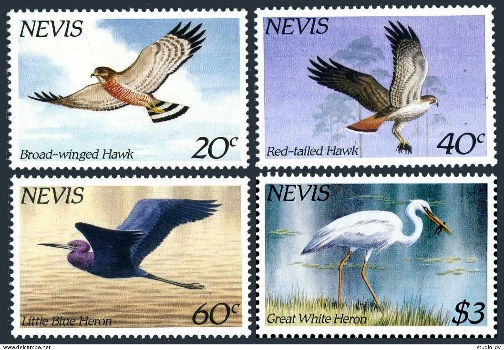 Nevis 403-406, MNH. Michel 248-251. Birds 1985. Hawks, Herons. - St.Kitts And Nevis ( 1983-...)