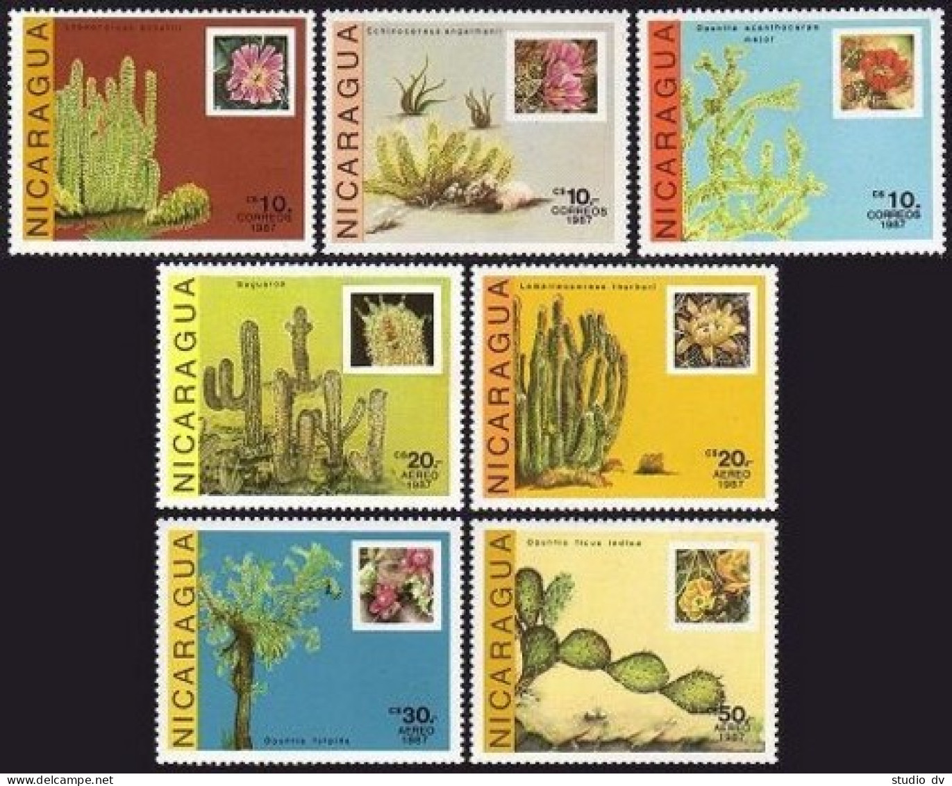 Nicaragua 1639-1645, MNH. Michel 2800-2806. Cacti 1987. - Nicaragua