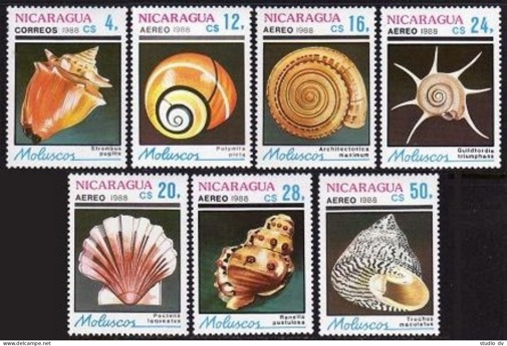 Nicaragua 1719-1725, MNH. Michel 2887-2893. Shells 1988. - Nicaragua