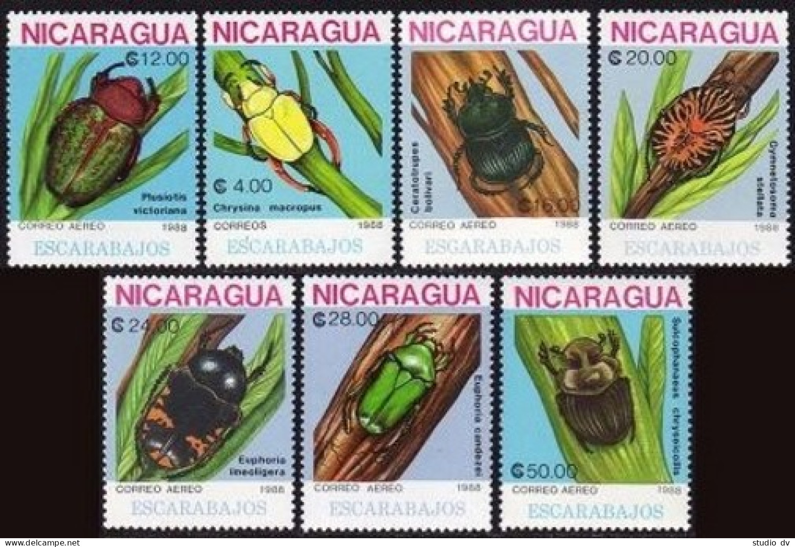 Nicaragua 1726-1732, MNH. Michel 2894-2900. Insects 1988. Beetles. - Nicaragua