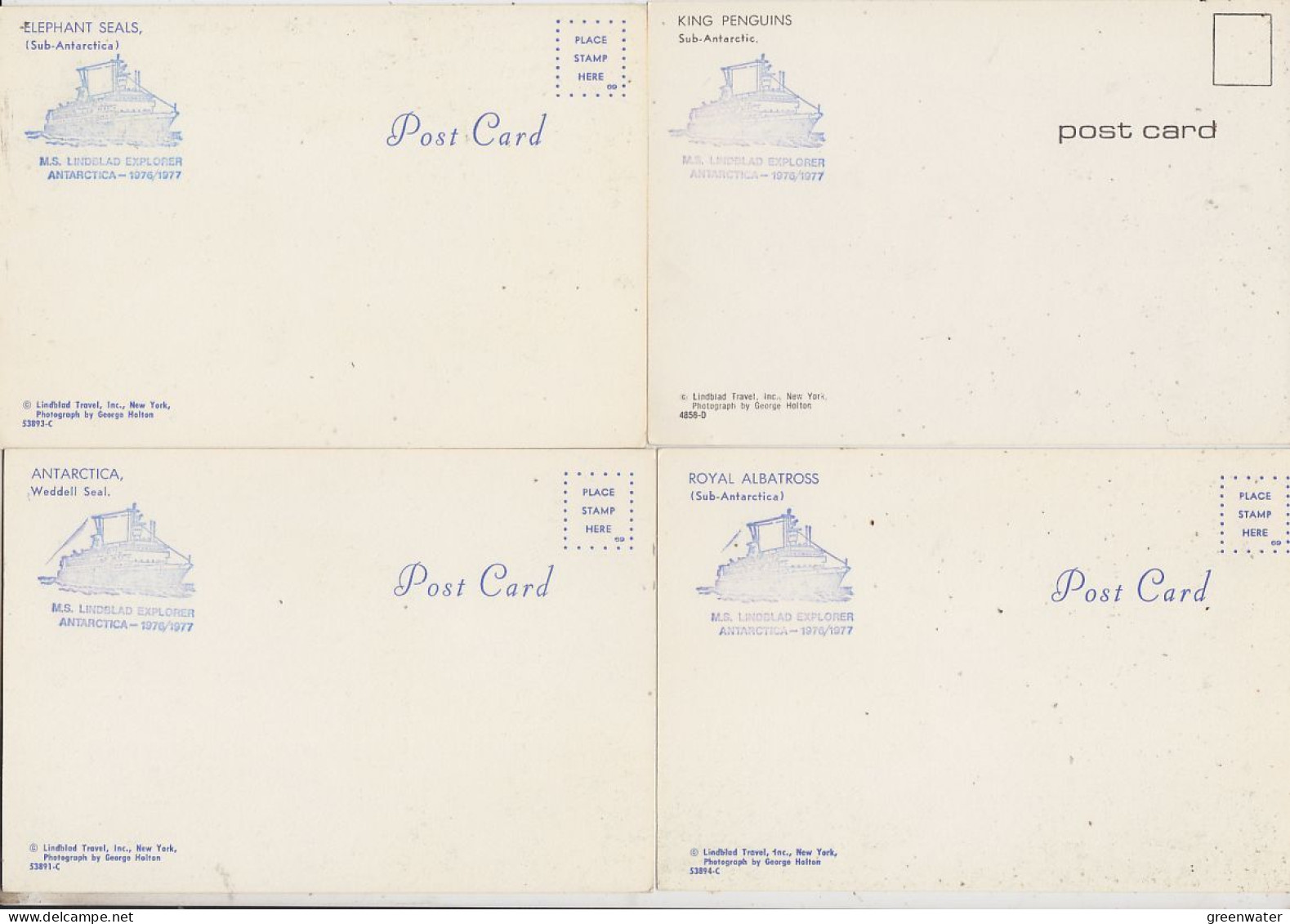 Antarctica Fauna 4 Postcards Ca MS Lindblad Explorer (unused) (59795) - Autres & Non Classés