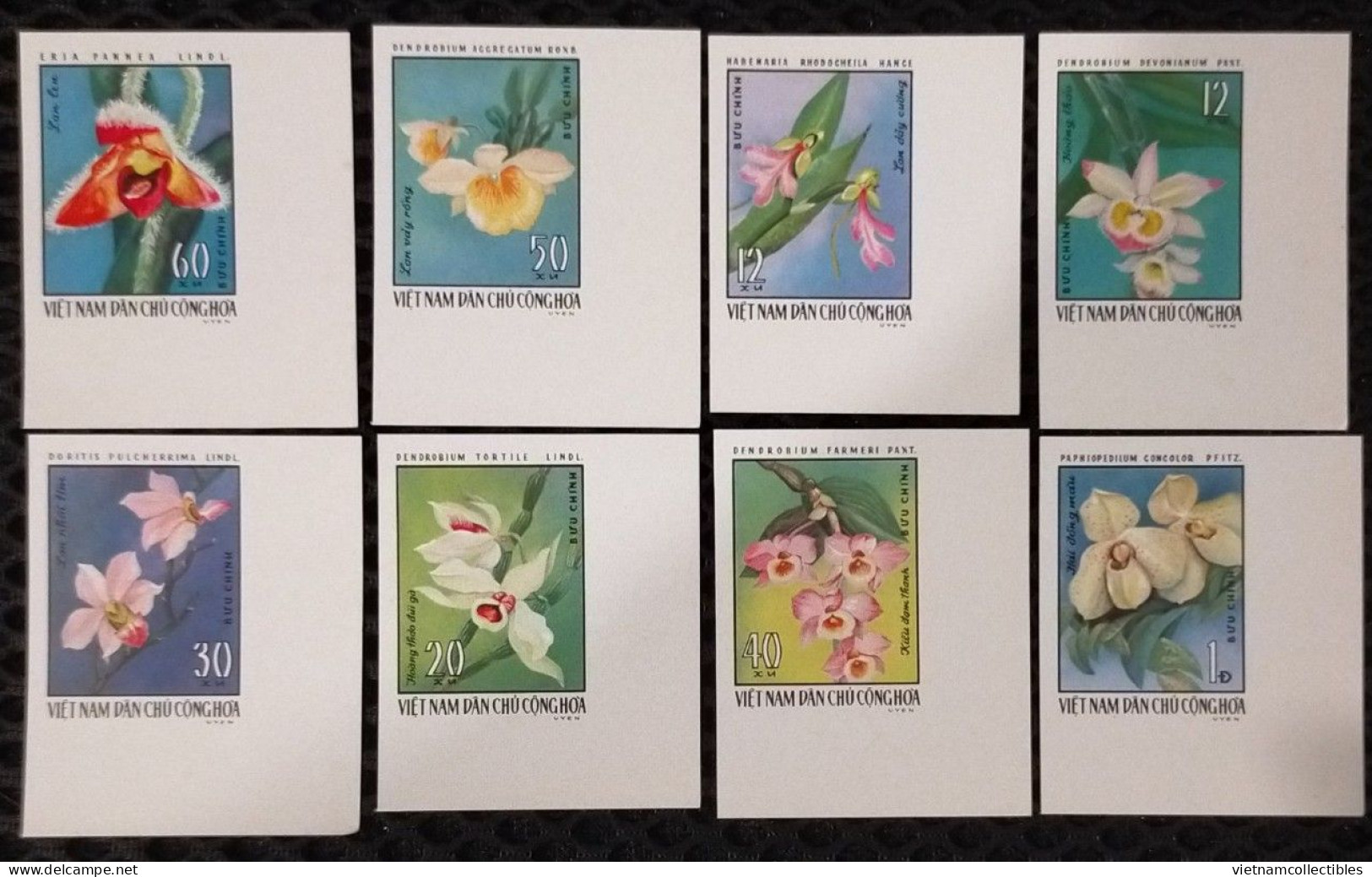 Vietnam Viet Nam MNH Imperf Stamps 1976 : Orchids / Orchid (Ms312) - Viêt-Nam