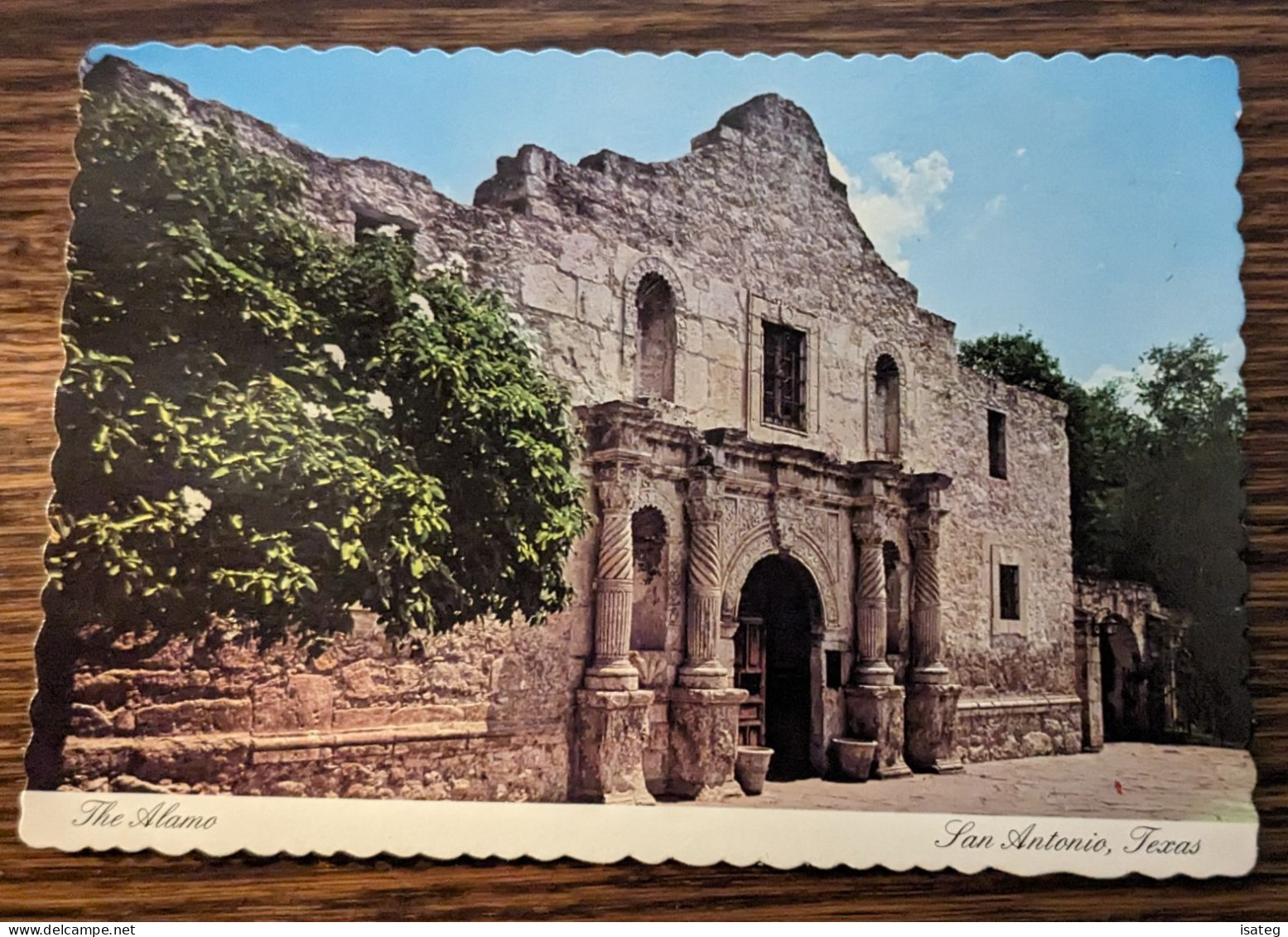 Carte Postale Dentelée : Alamo - San Antonio Texas - Non Classés