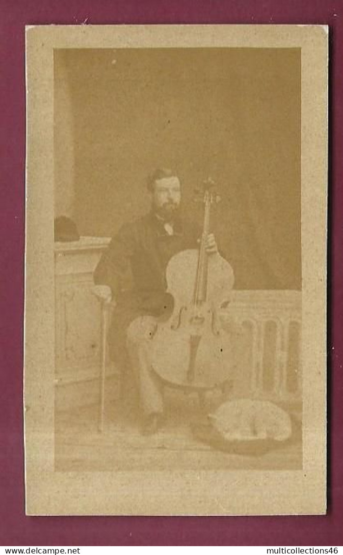 120524 - PHOTO CDV - Contrebasse Chien Musicien Généalogie E ROBERT DU BOTNEAU - Other & Unclassified