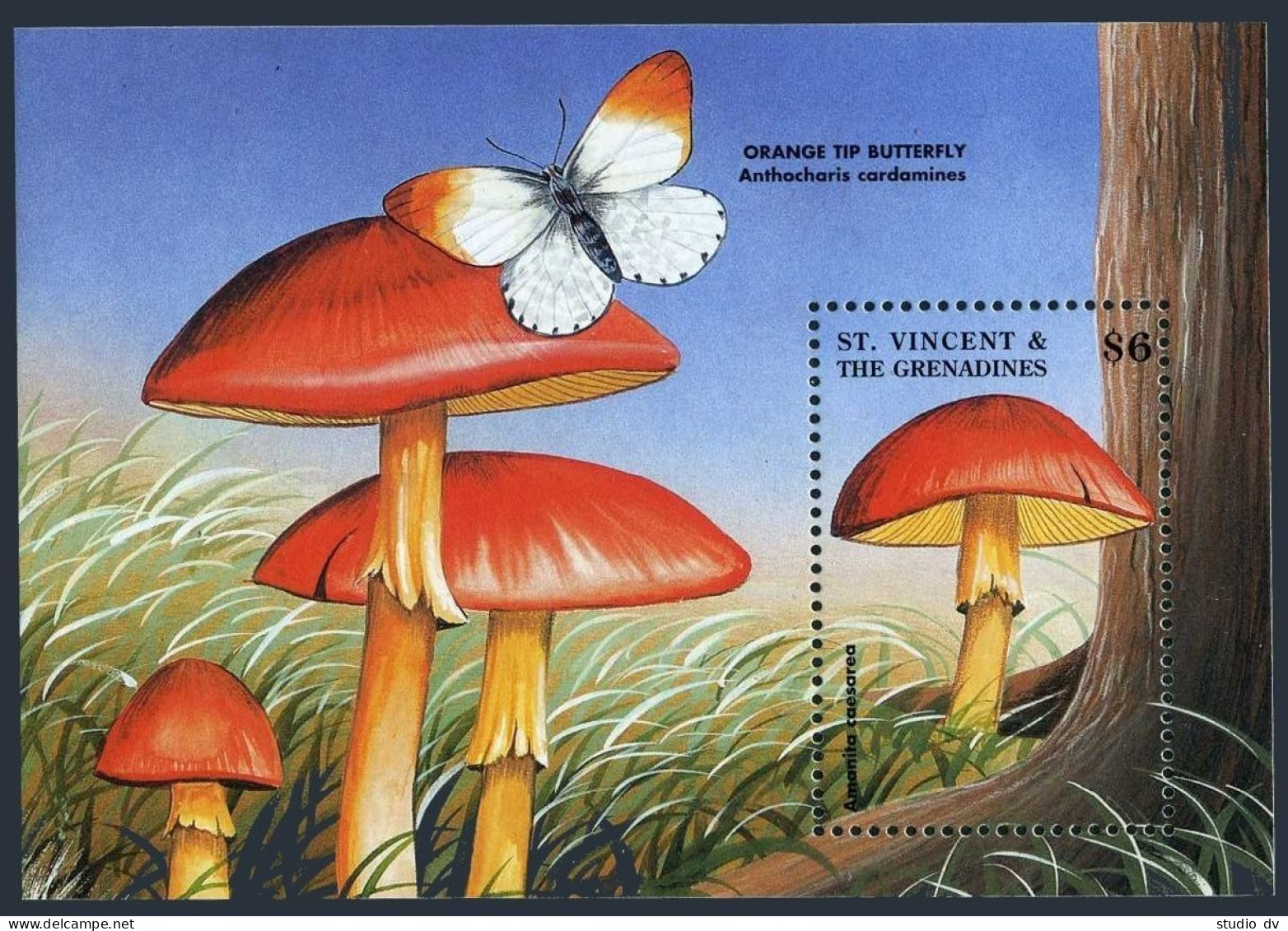 St Vincent 2559 Ai,2561,MNH.Mi 4319-27,Bl.448. Mushrooms 1998.Butterfly,Bee. - St.Vincent (1979-...)