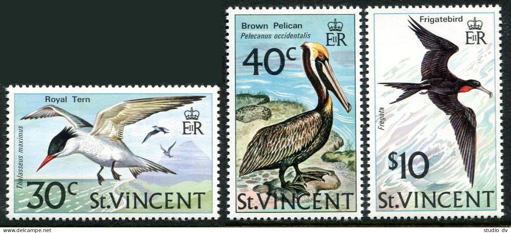 St Vincent 379-381, MNH. Michel 362-364. Birds 1974.Royal Tern, Pelican,Frigate. - St.Vincent (1979-...)