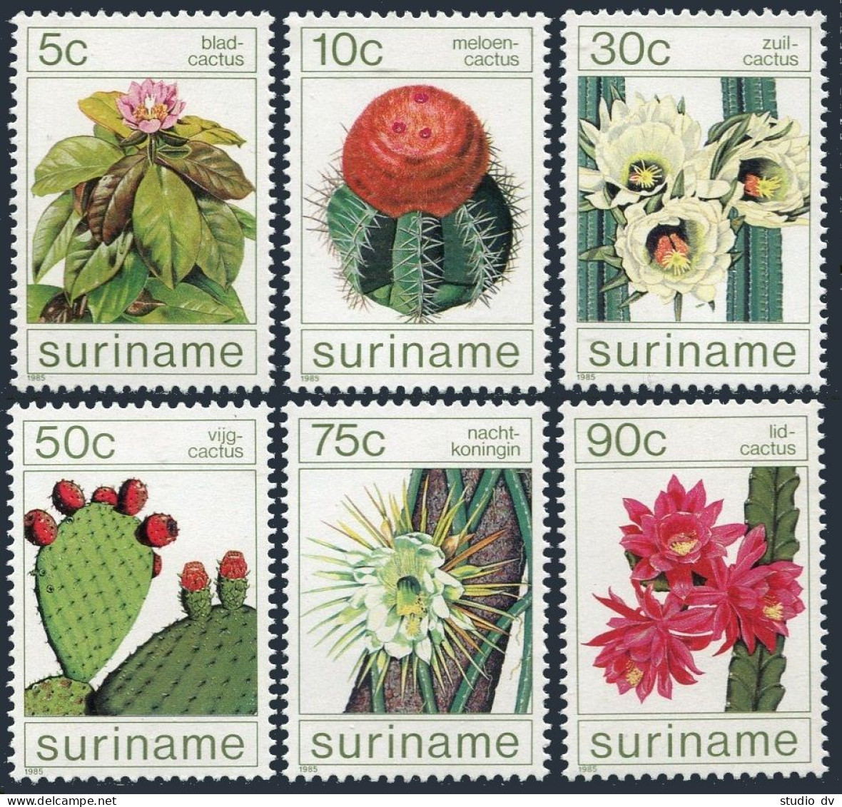Surinam 697-702, MNH. Michel 1114-1119. Cacti 1985. - Surinam