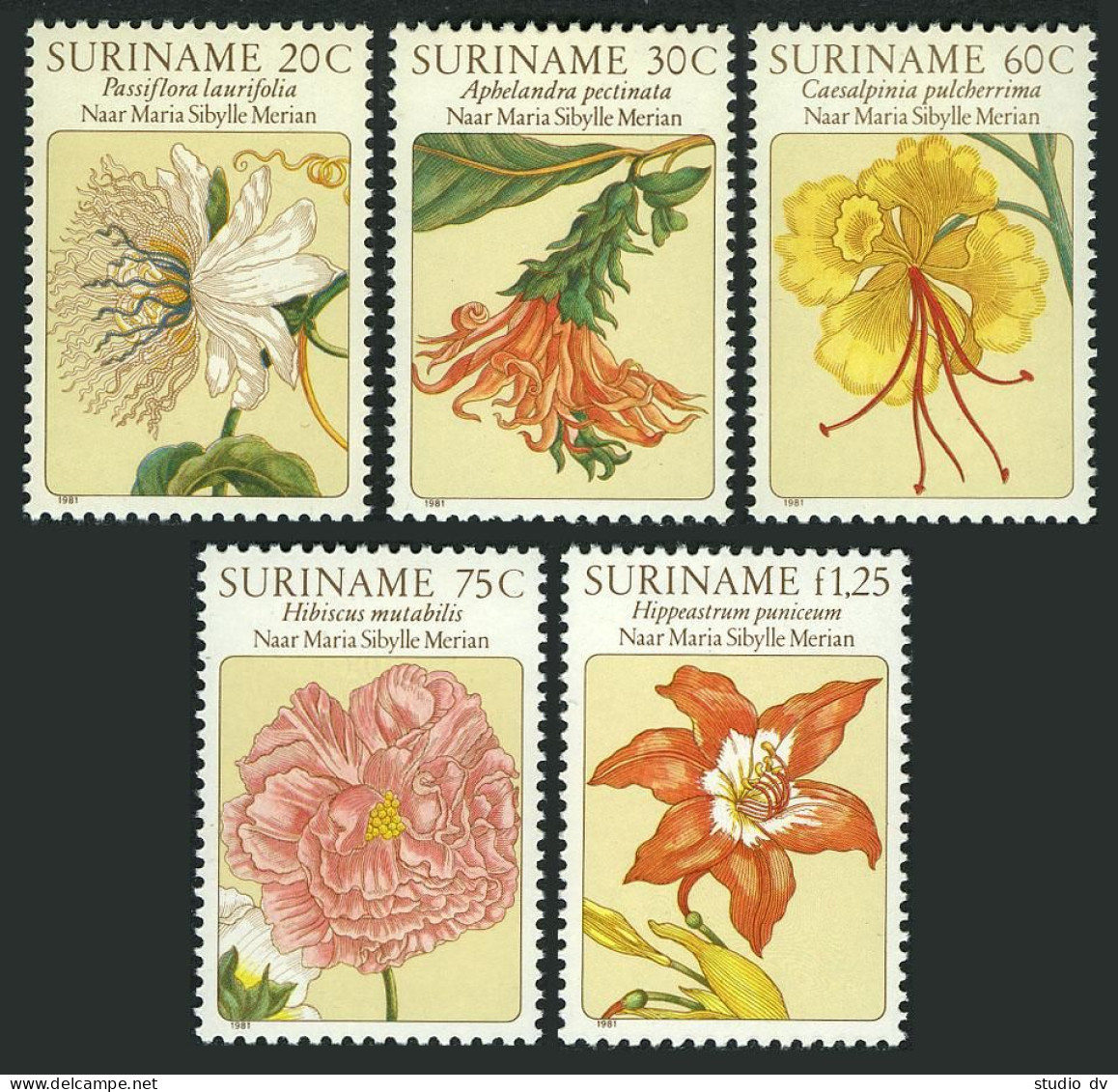 Surinam 563-567, MNH. Michel 929-933. Flower Paintings By Maria S. Merian, 1981. - Surinam