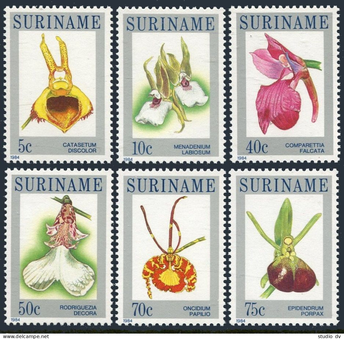 Surinam 663-668, MNH. Michel 1065-1070. Local Flowers, 1984. Orchids. - Surinam