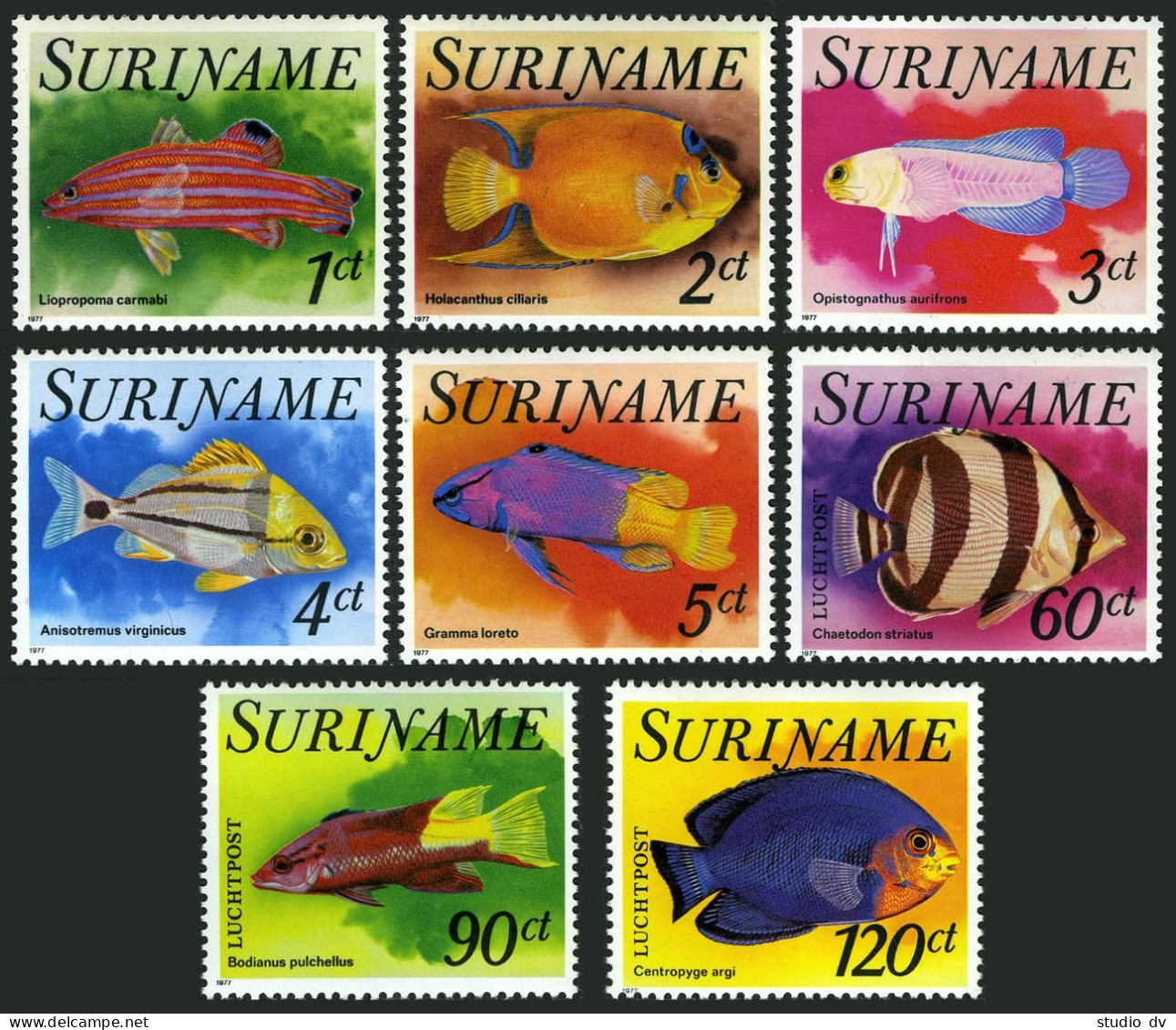 Surinam 471-475,C72-C74,MNH.Michel 771-778. Fish,1977. - Suriname