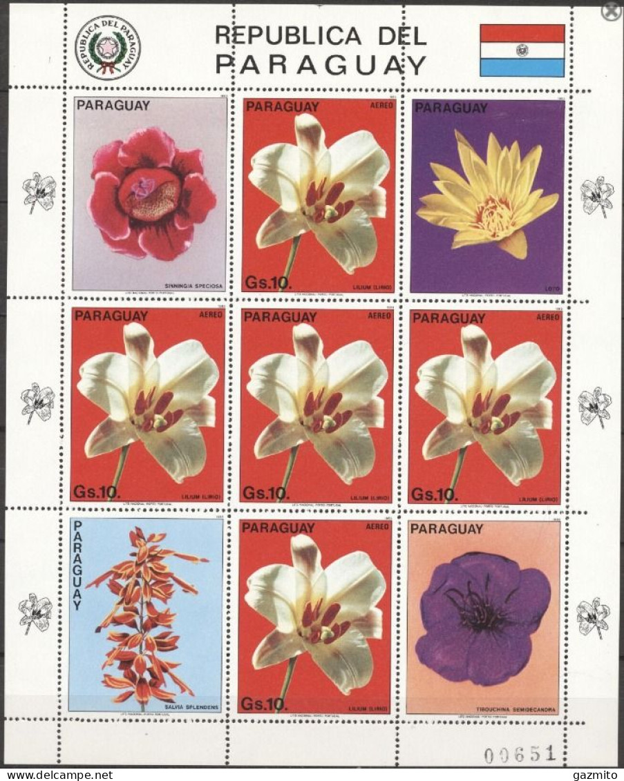 Paraguay 1983, Orchids, Sheetlet - Orchidées