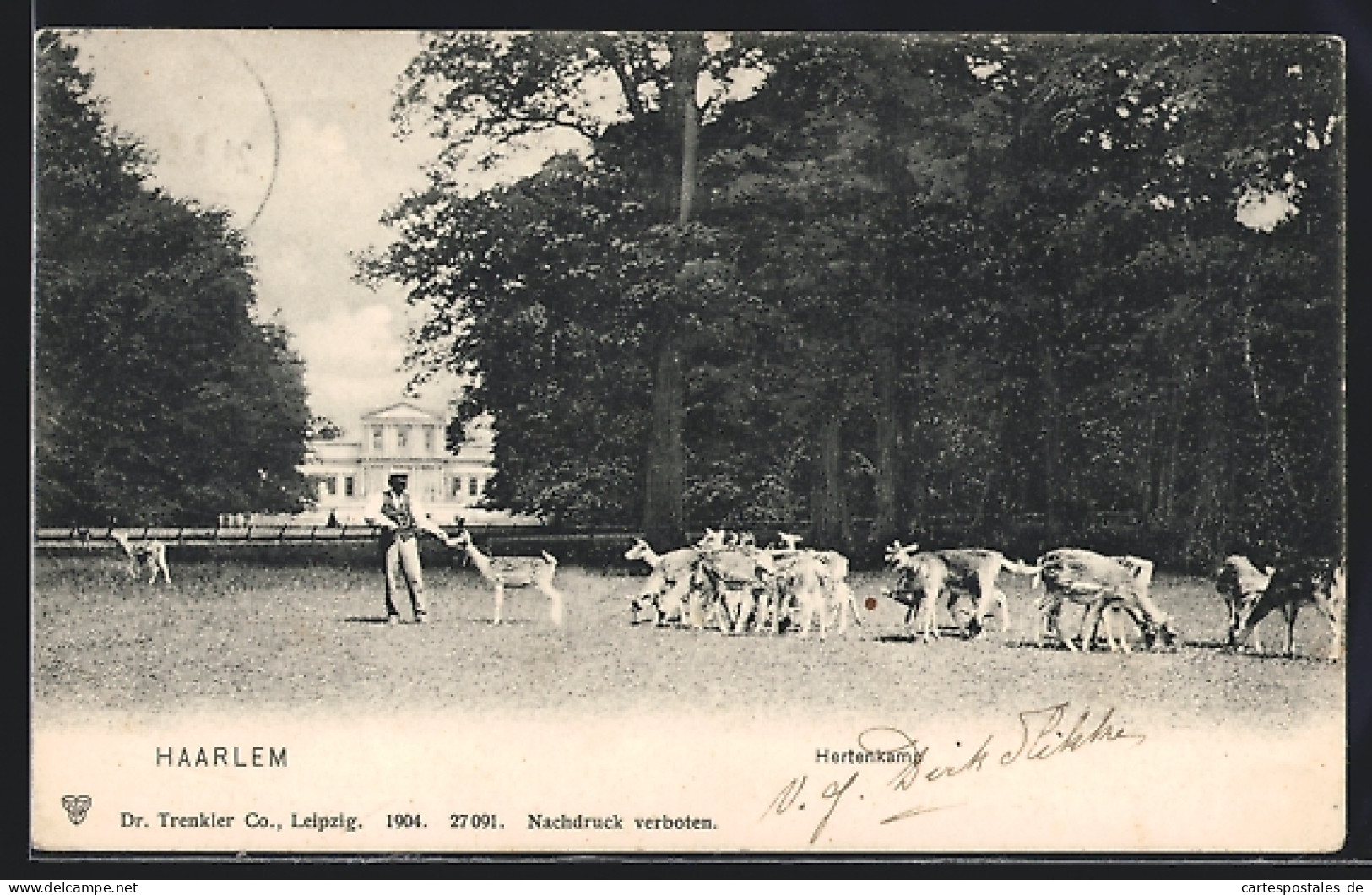 AK Haarlem, Hertenkamp, Rehfütterung  - Haarlem