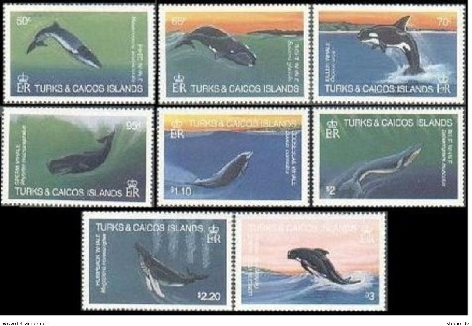 Turks & Caicos 564-571, MNH. Michel 634-641. Whales 1983.Piked, Right, Killer, - Turks & Caicos