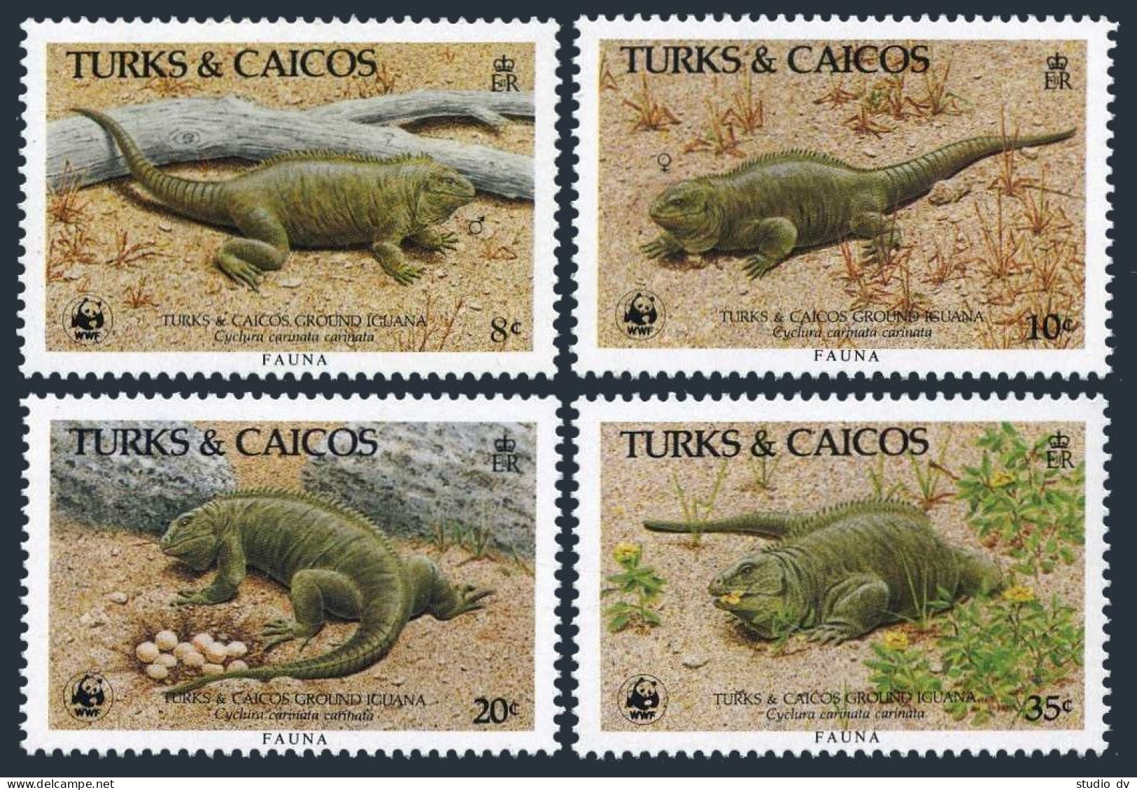 Turks & Caicos 710-713, MNH. Michel 777-780. WWF 1986. Ground Iguanas. - Turks & Caicos