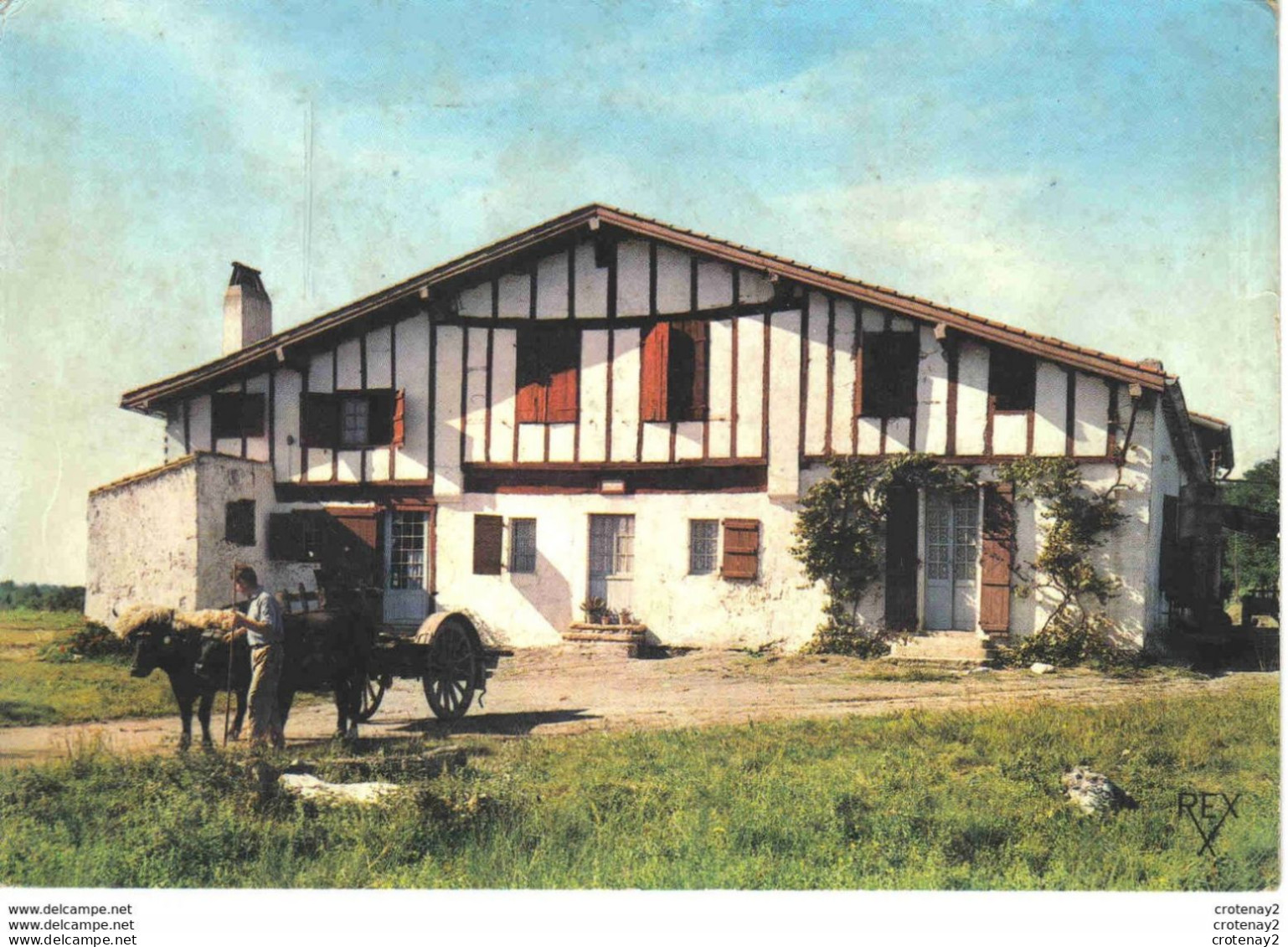 64 PAYS BASQUE Ferme Typique Bel Attelage De Boeufs Ou Vaches éditions REX Postée De Biarritz En 1963 - Fermes