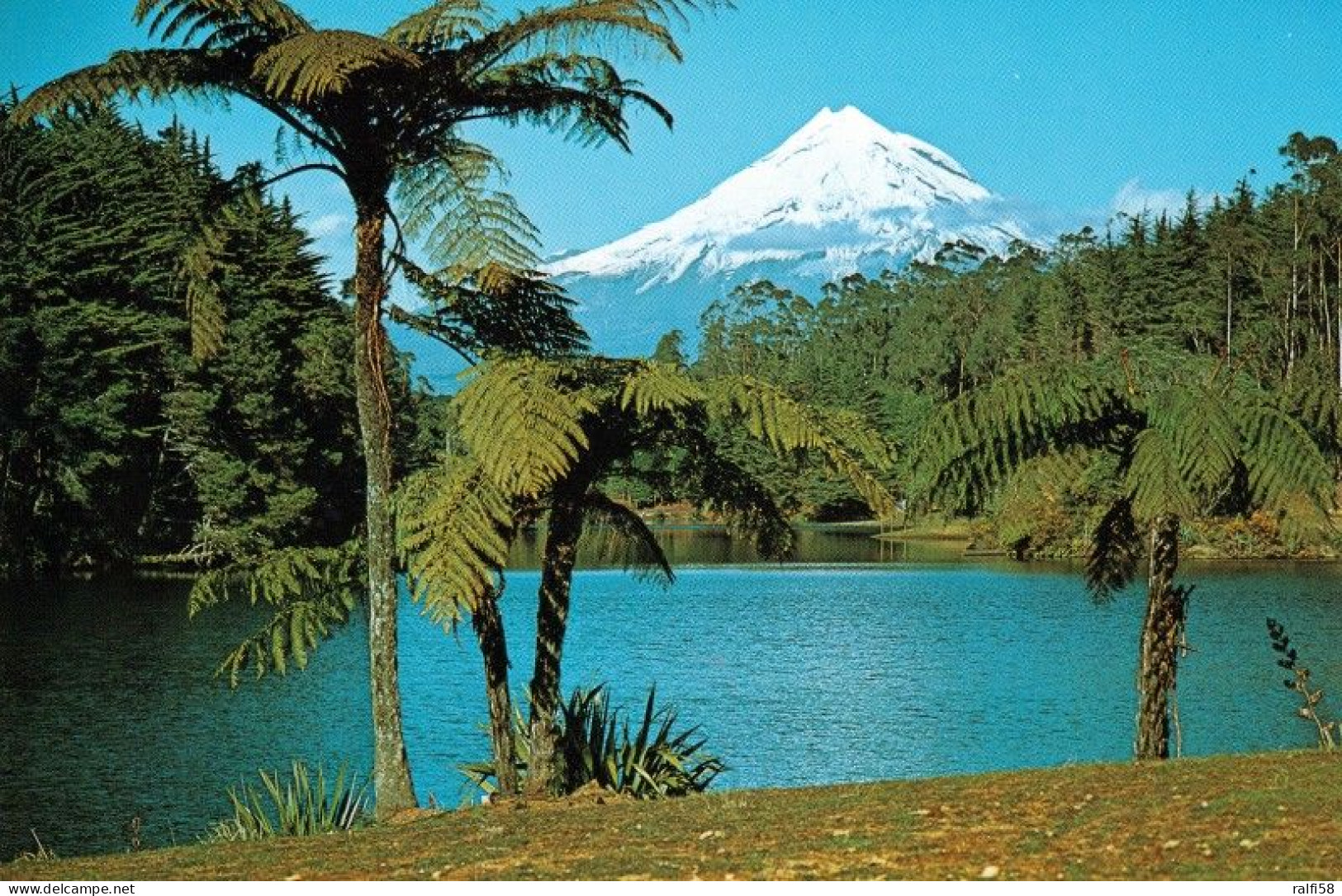 1 AK Neuseeland / New Zealand * Lake Mangamahoe In Der Region Taranaki Im Hintergrund Der Mt. Egmont Auf Der Nordinsel * - Neuseeland