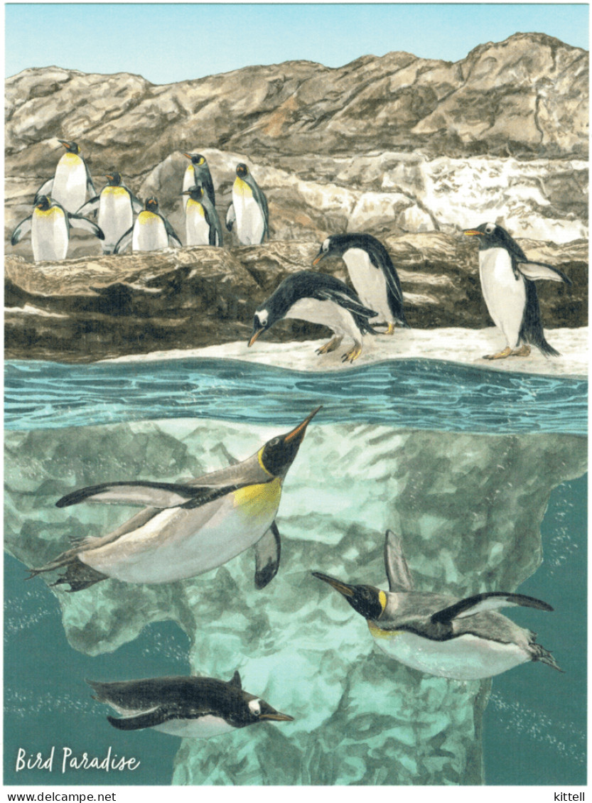 Singapore Postcard Bird Paradise Penguin - Uccelli