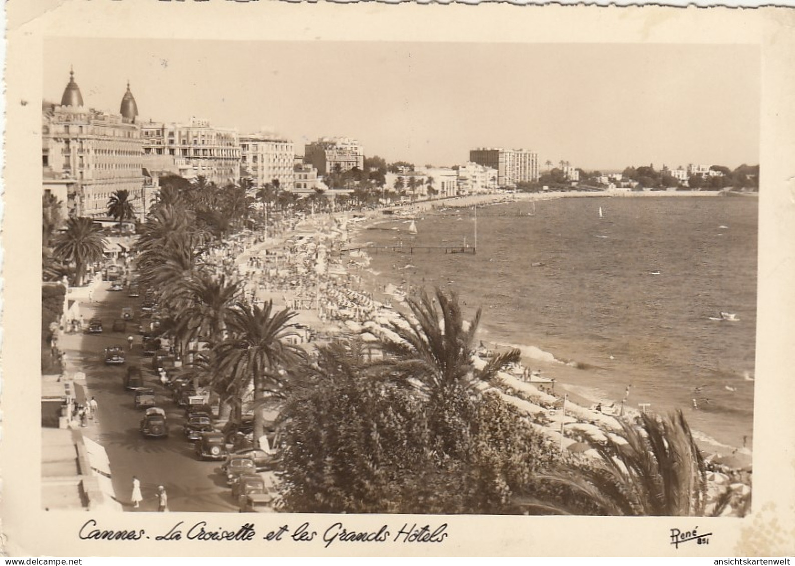 Côte D'Azur, Cannes, La Croisette Et Le Grands Hôtels Gl1952 #G5186 - Other & Unclassified
