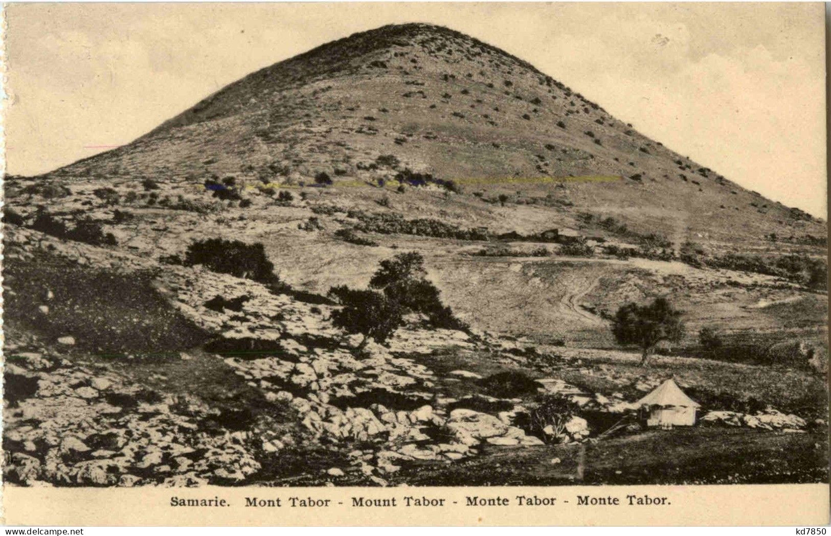 Samarie - Mont Tabor - Palestine