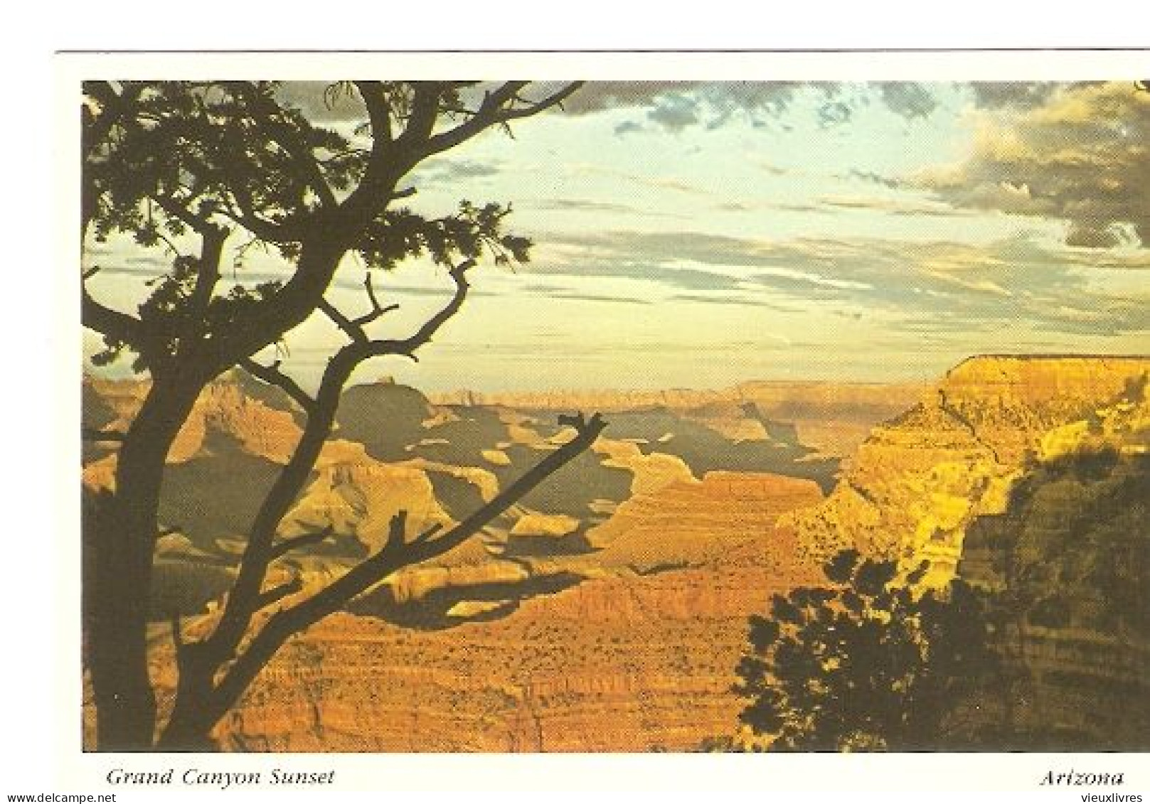 Grand Canyon Sunset Arizona Postcard Carte Postale Coucher De Soleil Sur Le Grand Canyon - Grand Canyon