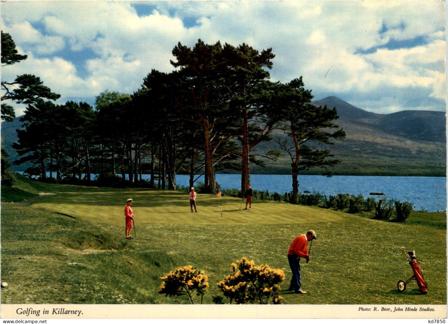 Golfing In Killarney - Golf