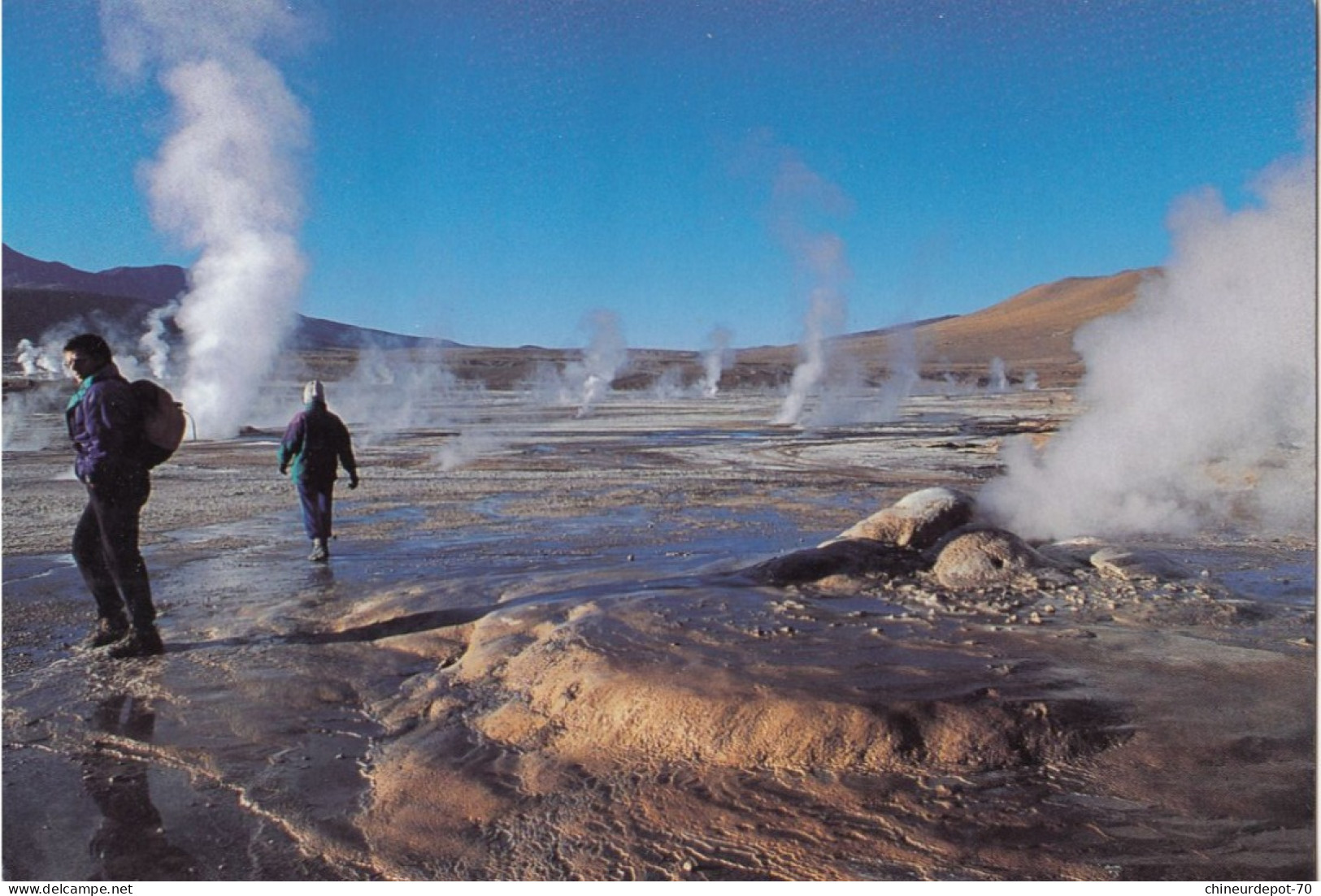 San Pedro De Atatama Chile Geisers Del Tatio Fauna - Chili