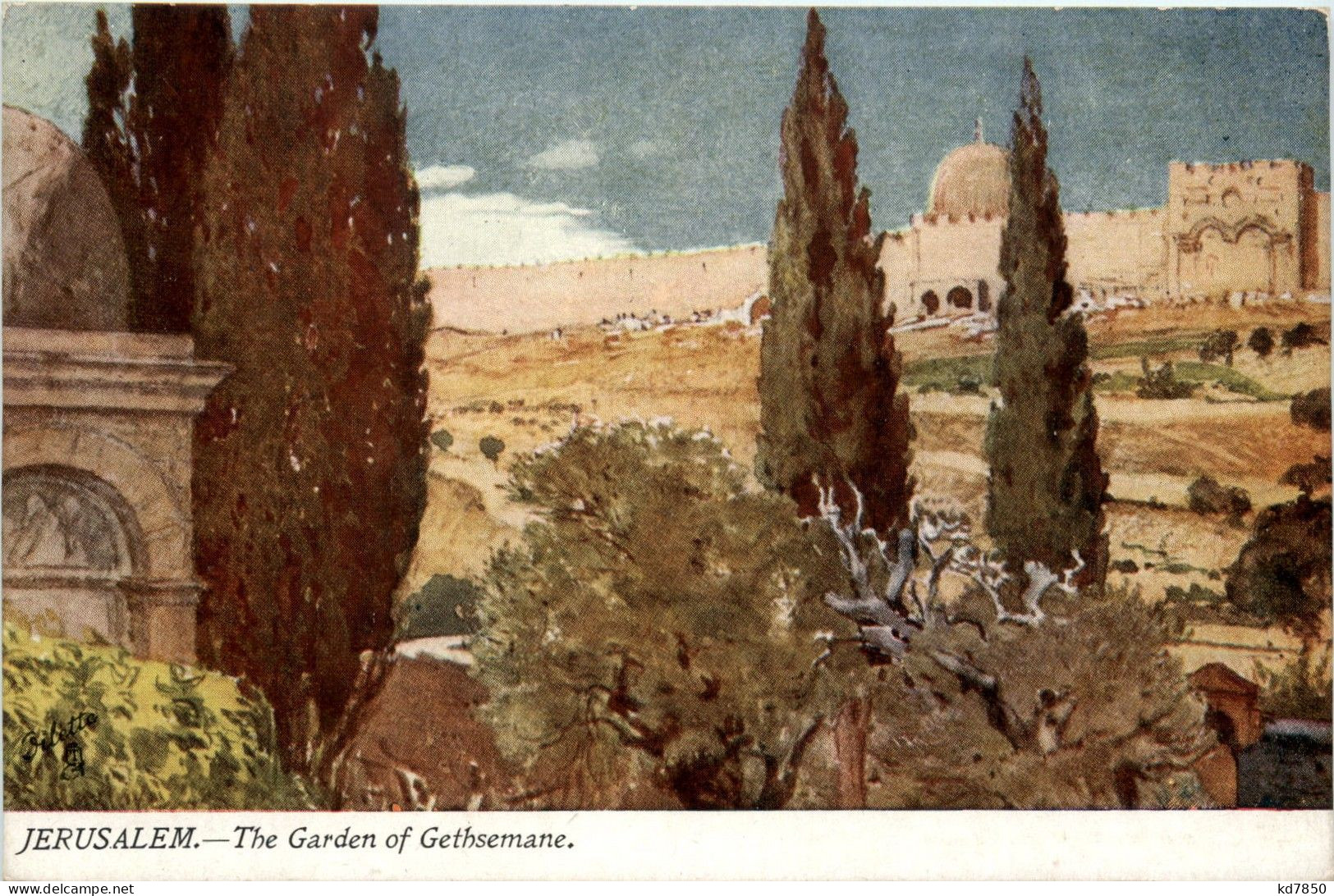 The Garden Of Gethsemane - Jerusalem - Israel