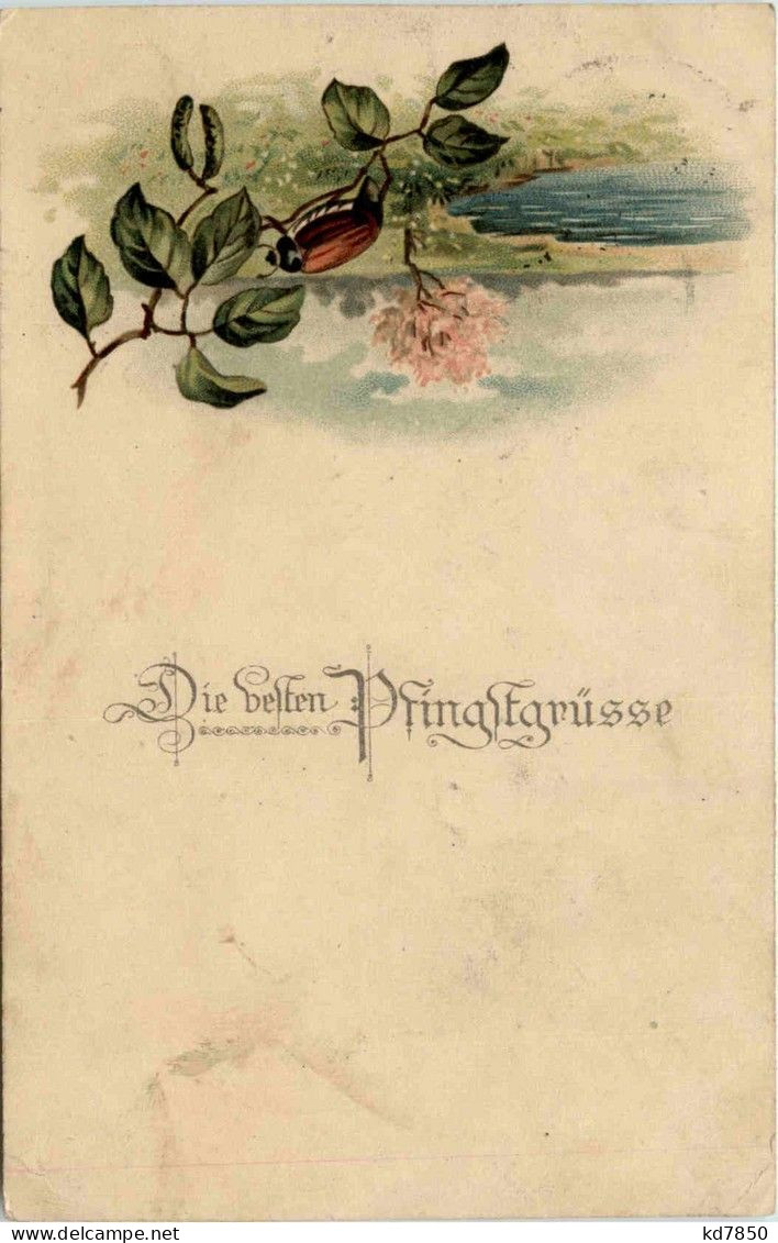 Pfingsten - Maikäfer - Pfingsten